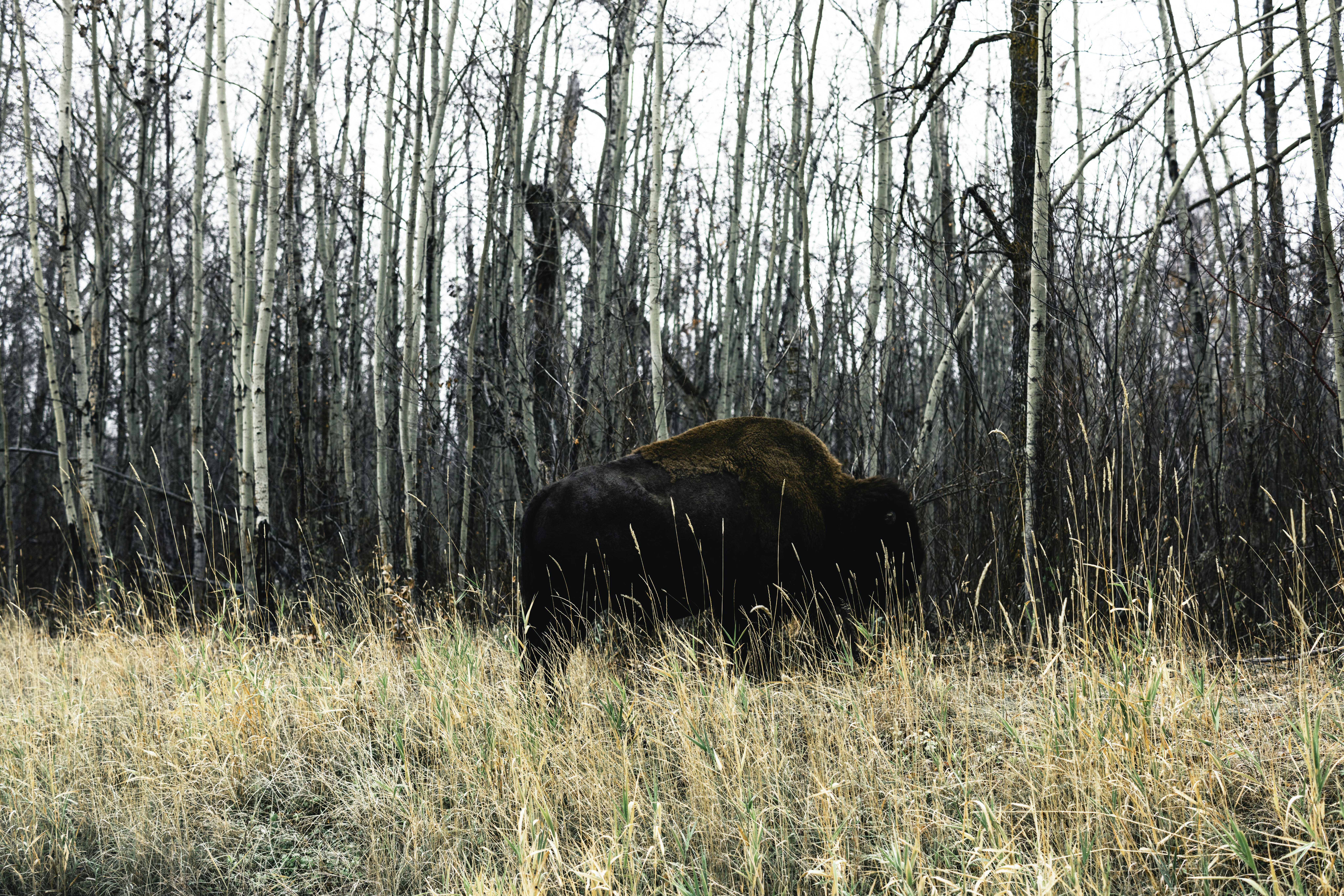 Photo by lureofadventure