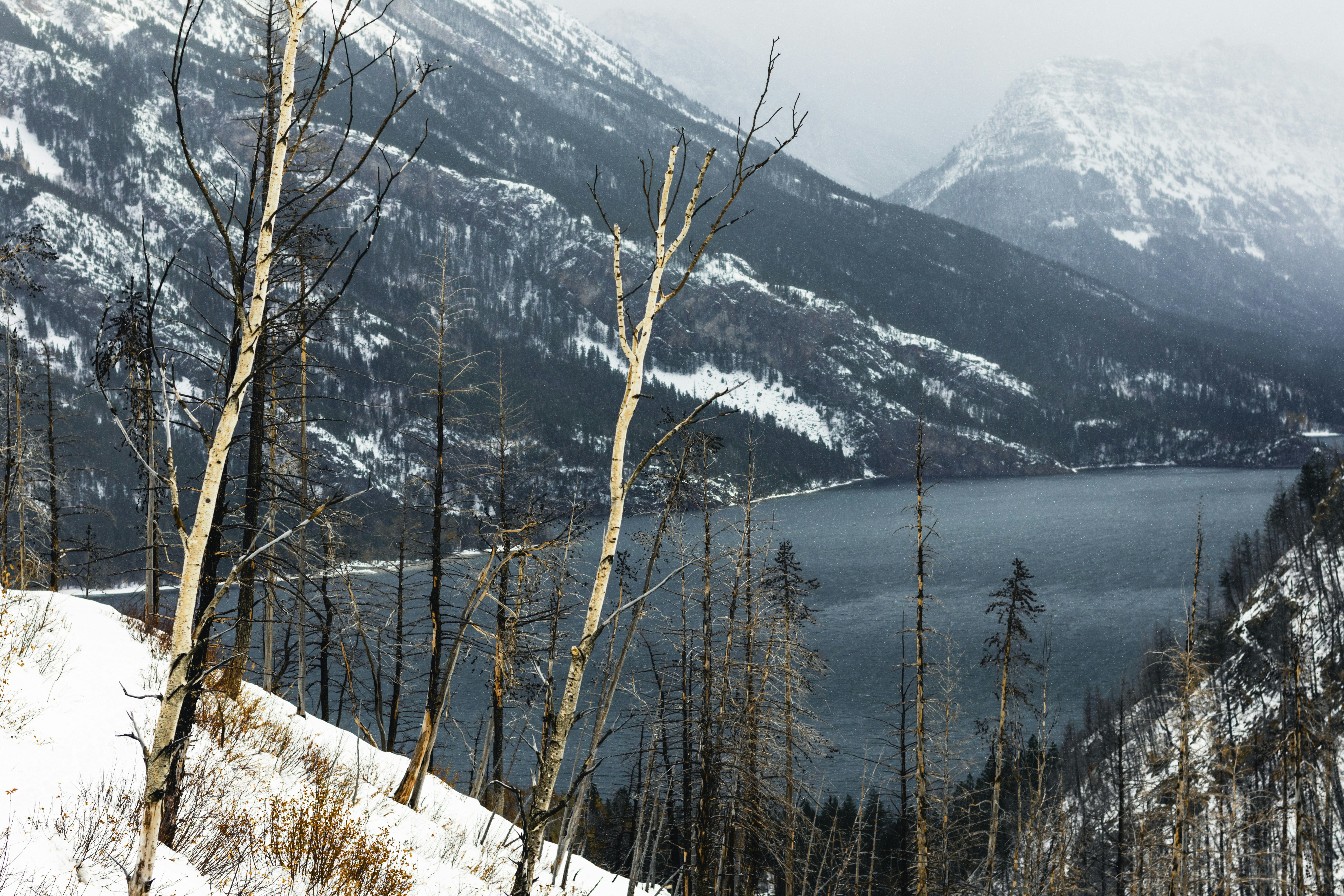 Photo by lureofadventure