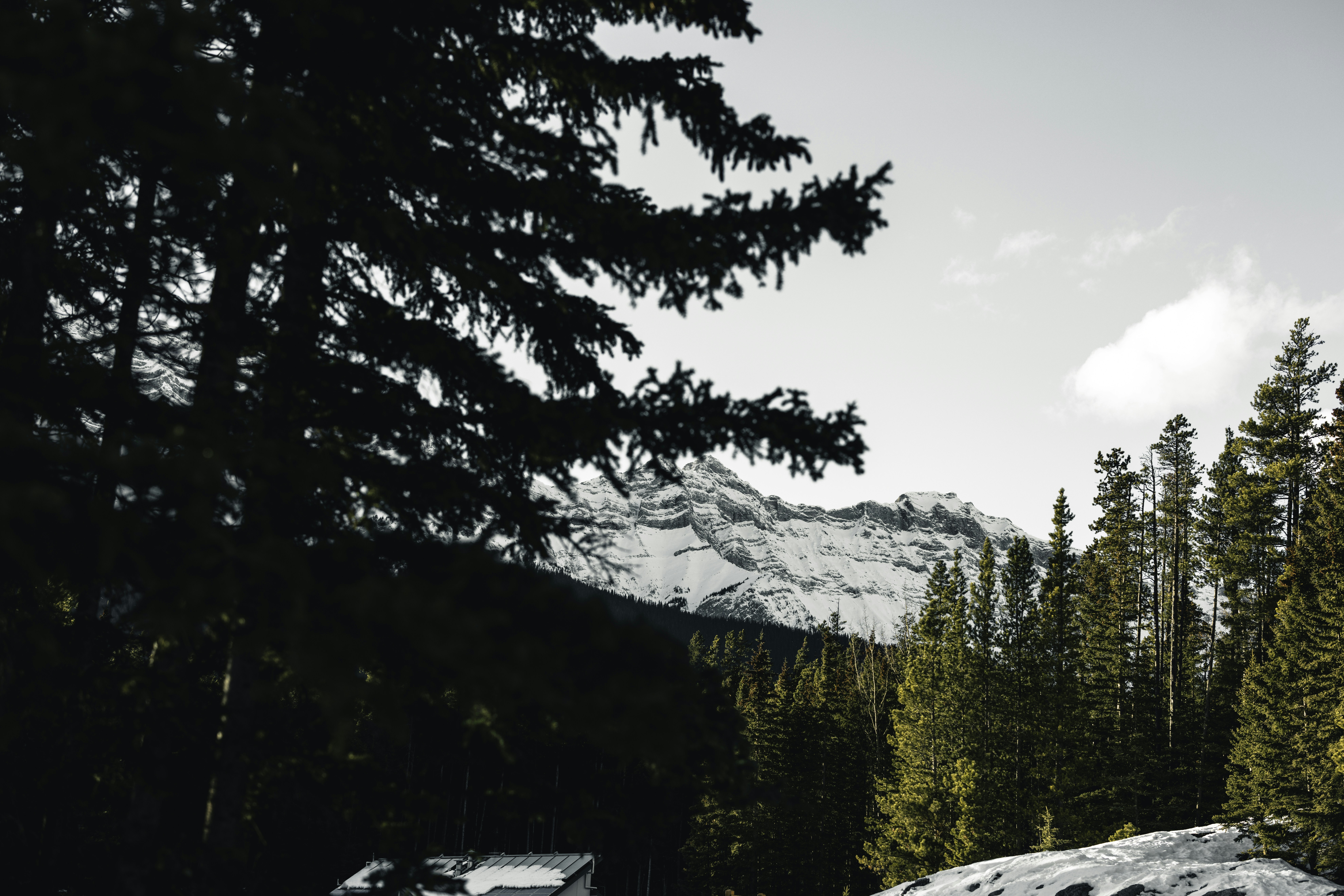 Photo by lureofadventure