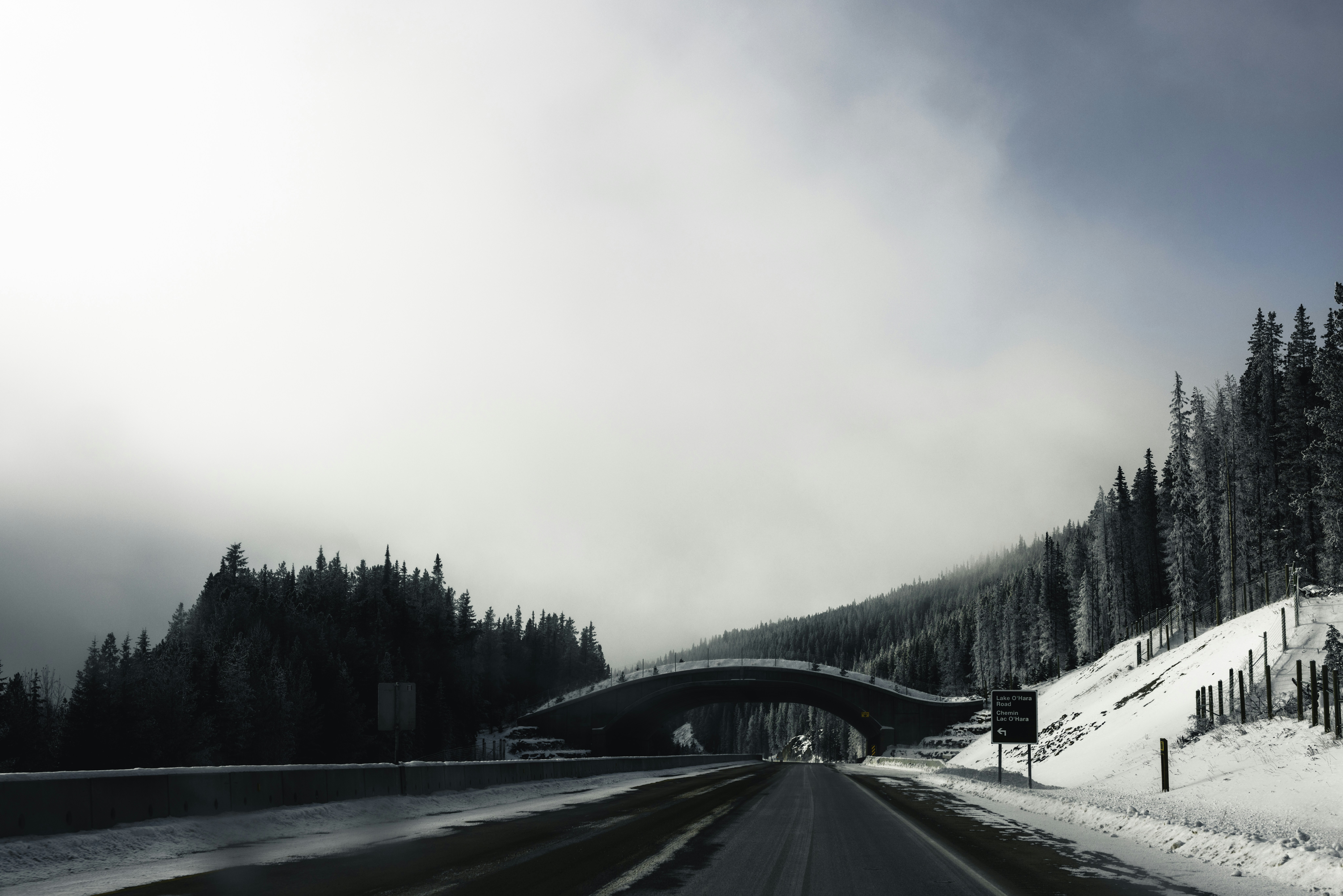 Photo by lureofadventure