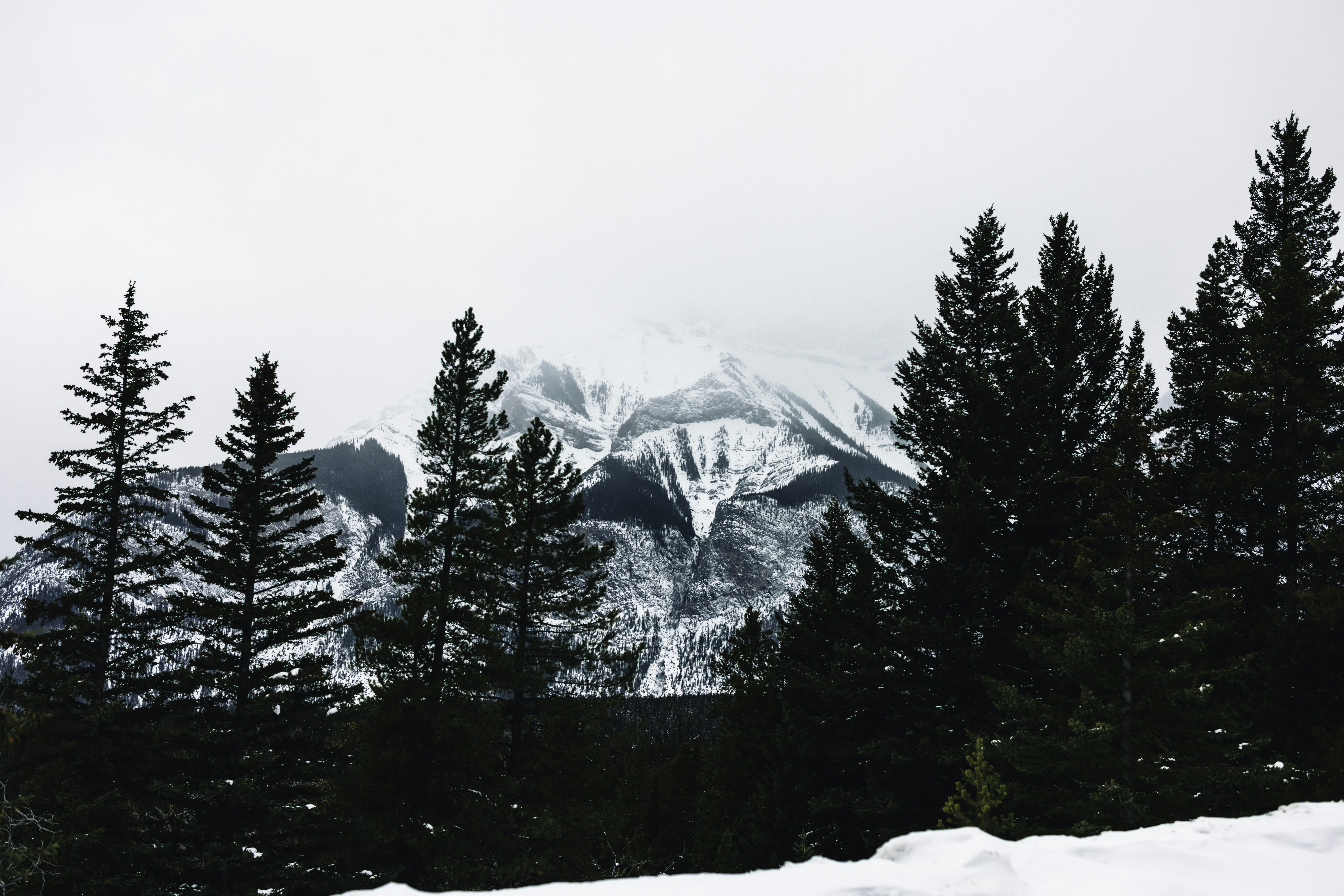 Photo by lureofadventure