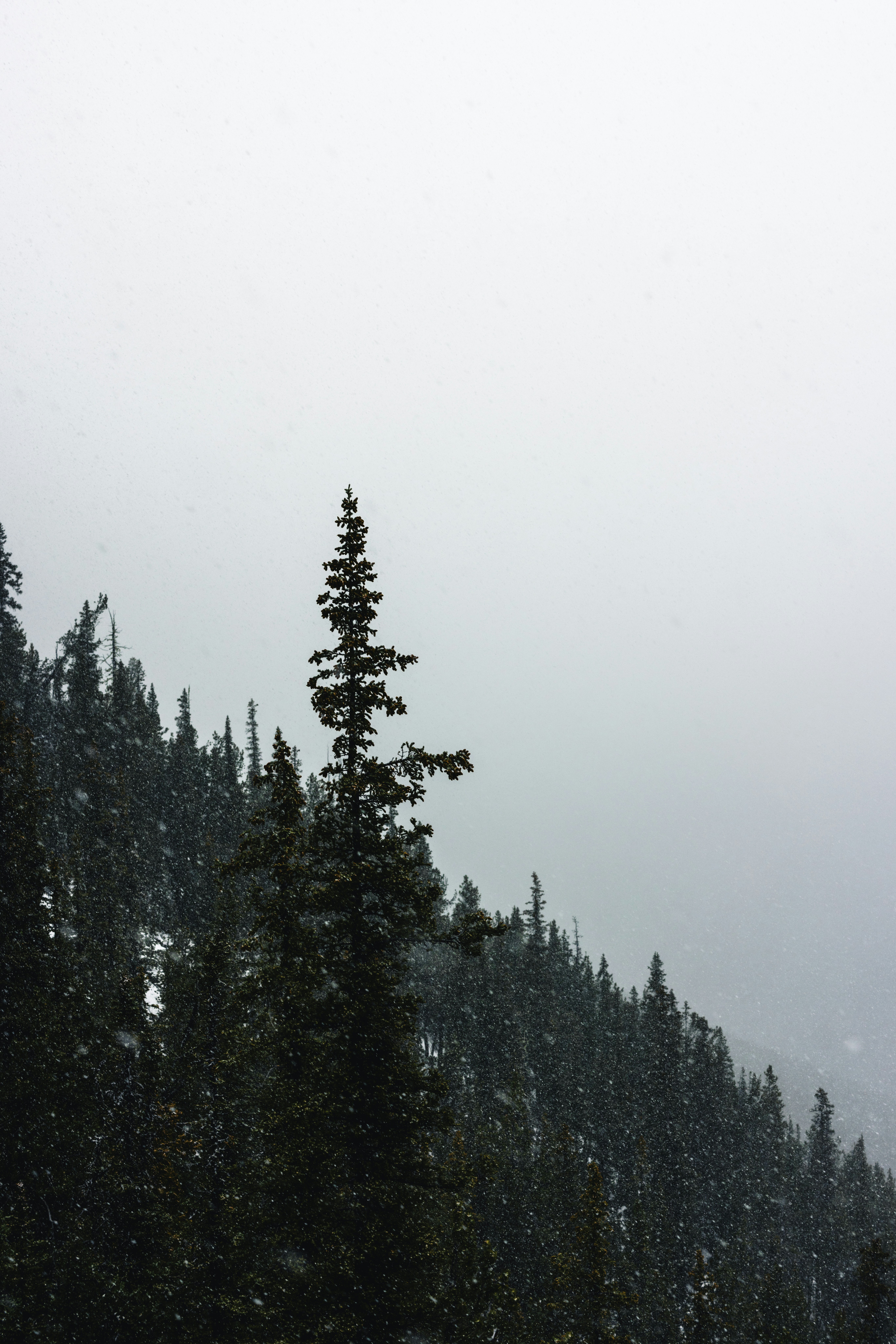 Photo by lureofadventure