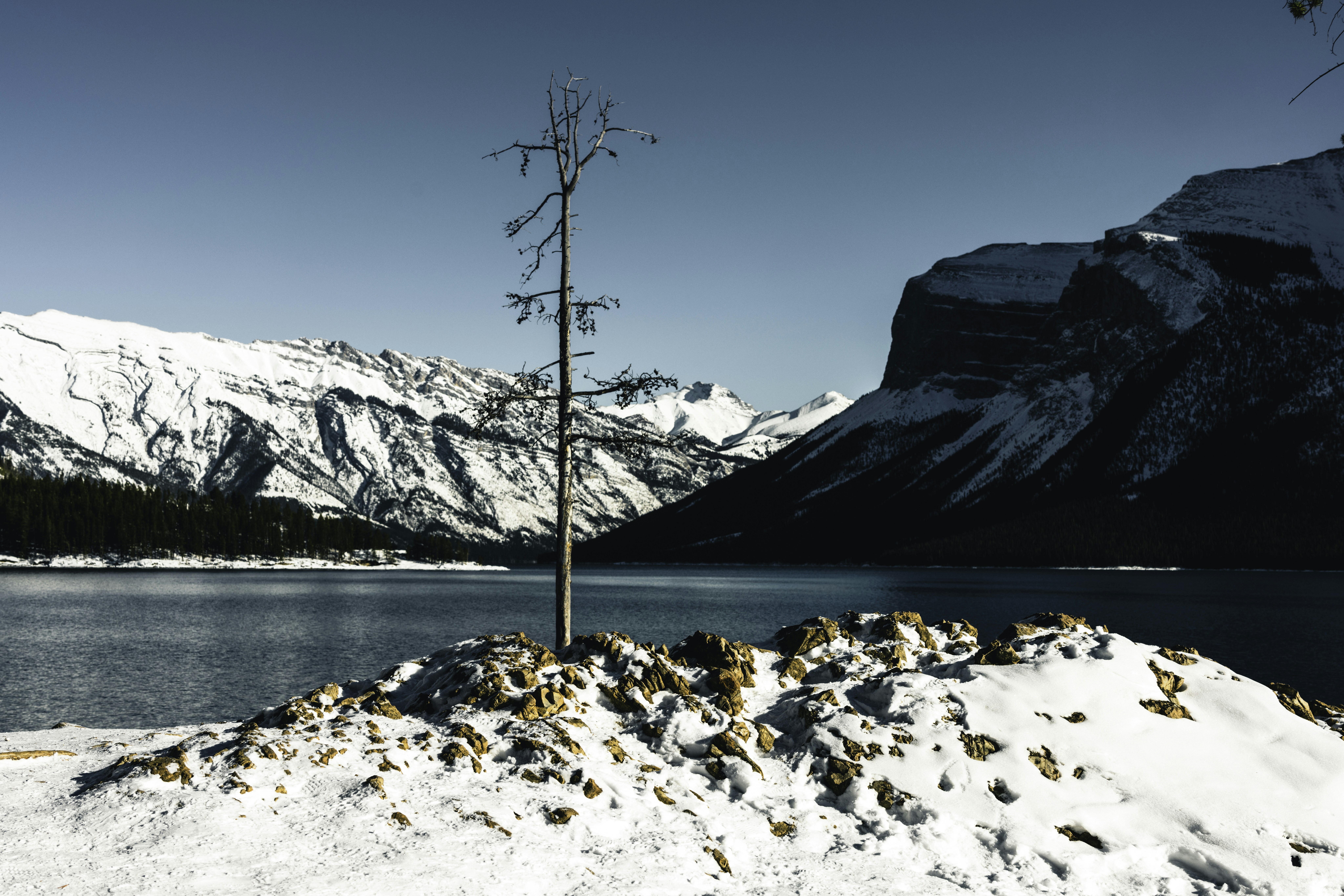 Photo by lureofadventure