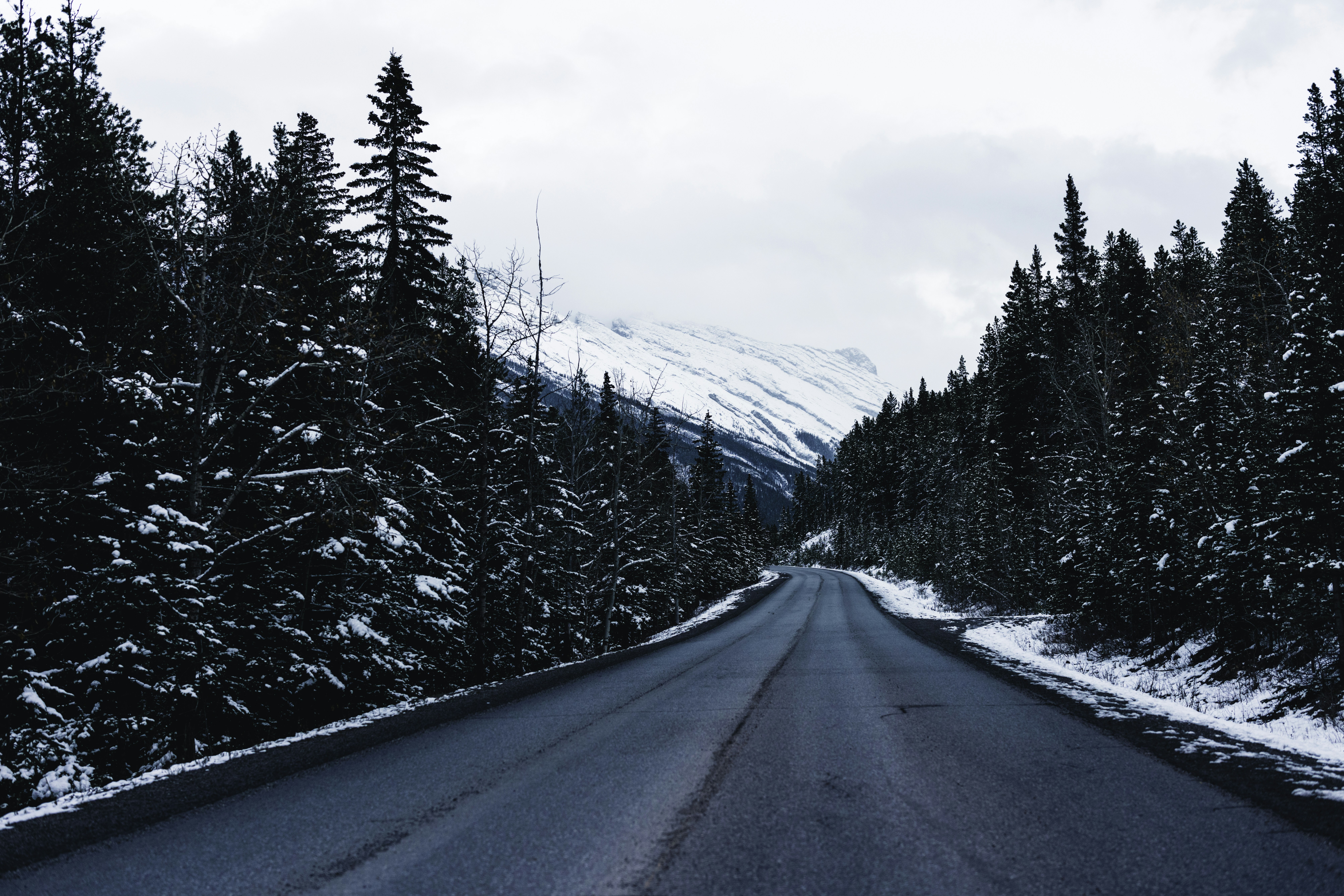 Photo by lureofadventure