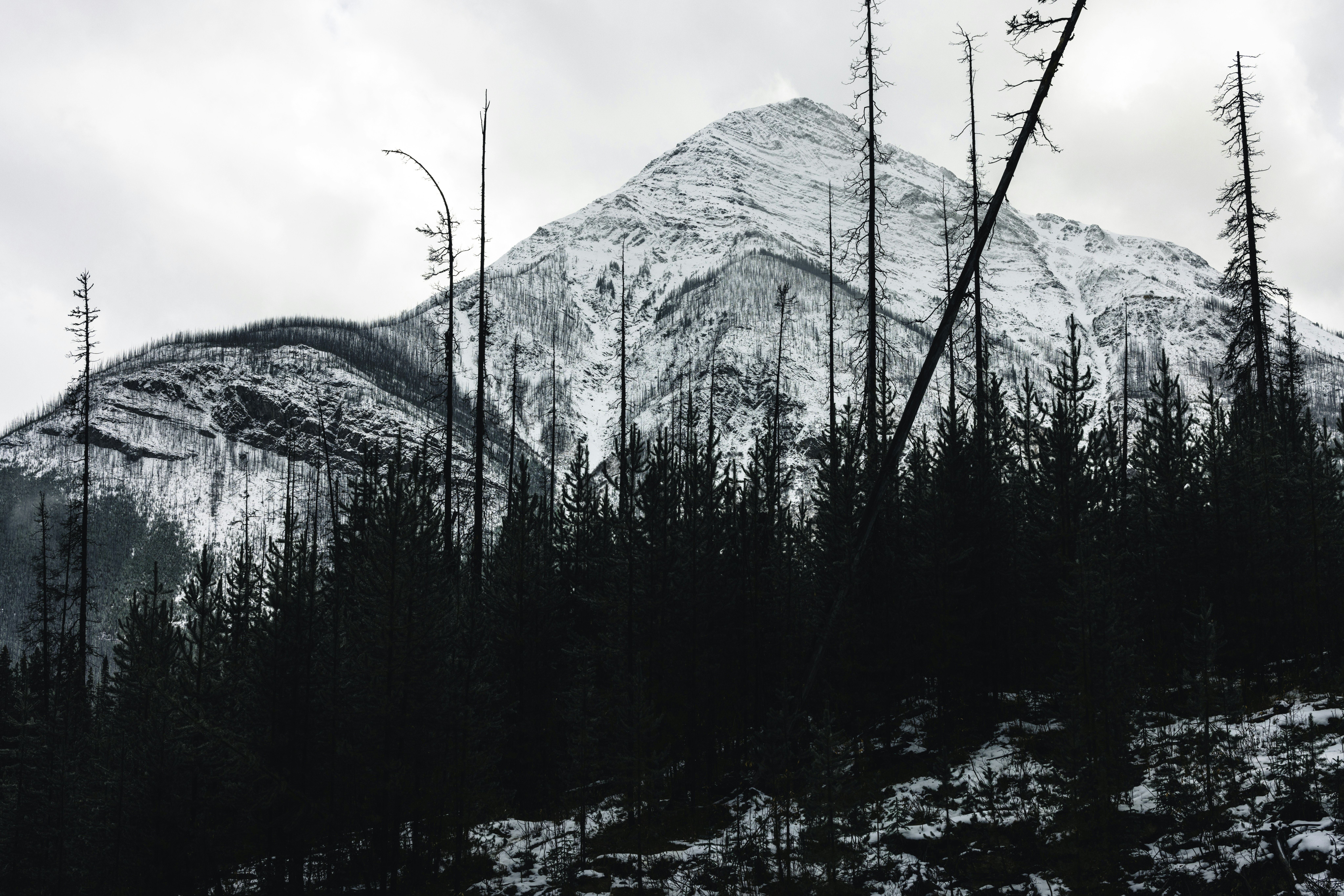 Photo by lureofadventure