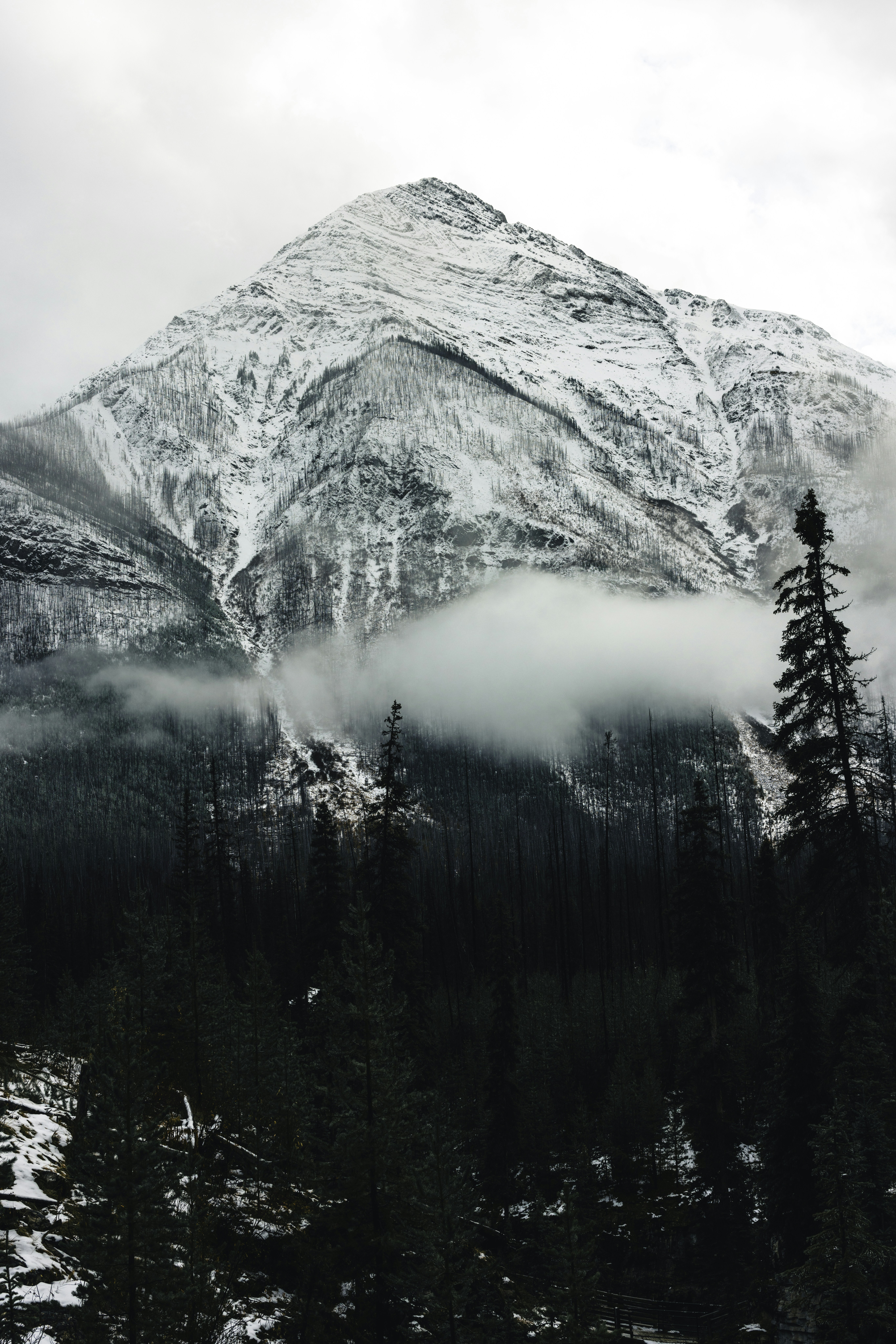 Photo by lureofadventure