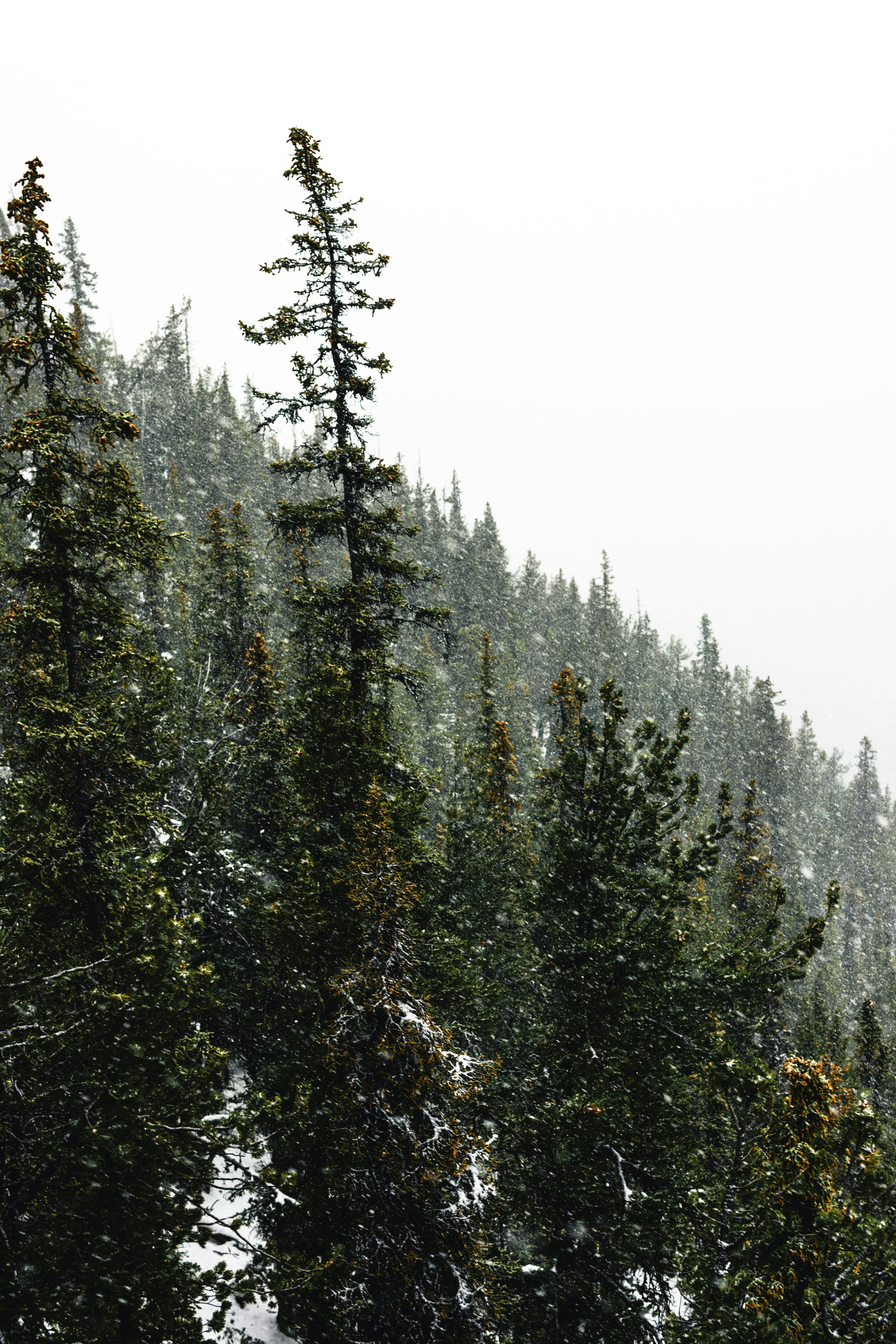 Photo by lureofadventure