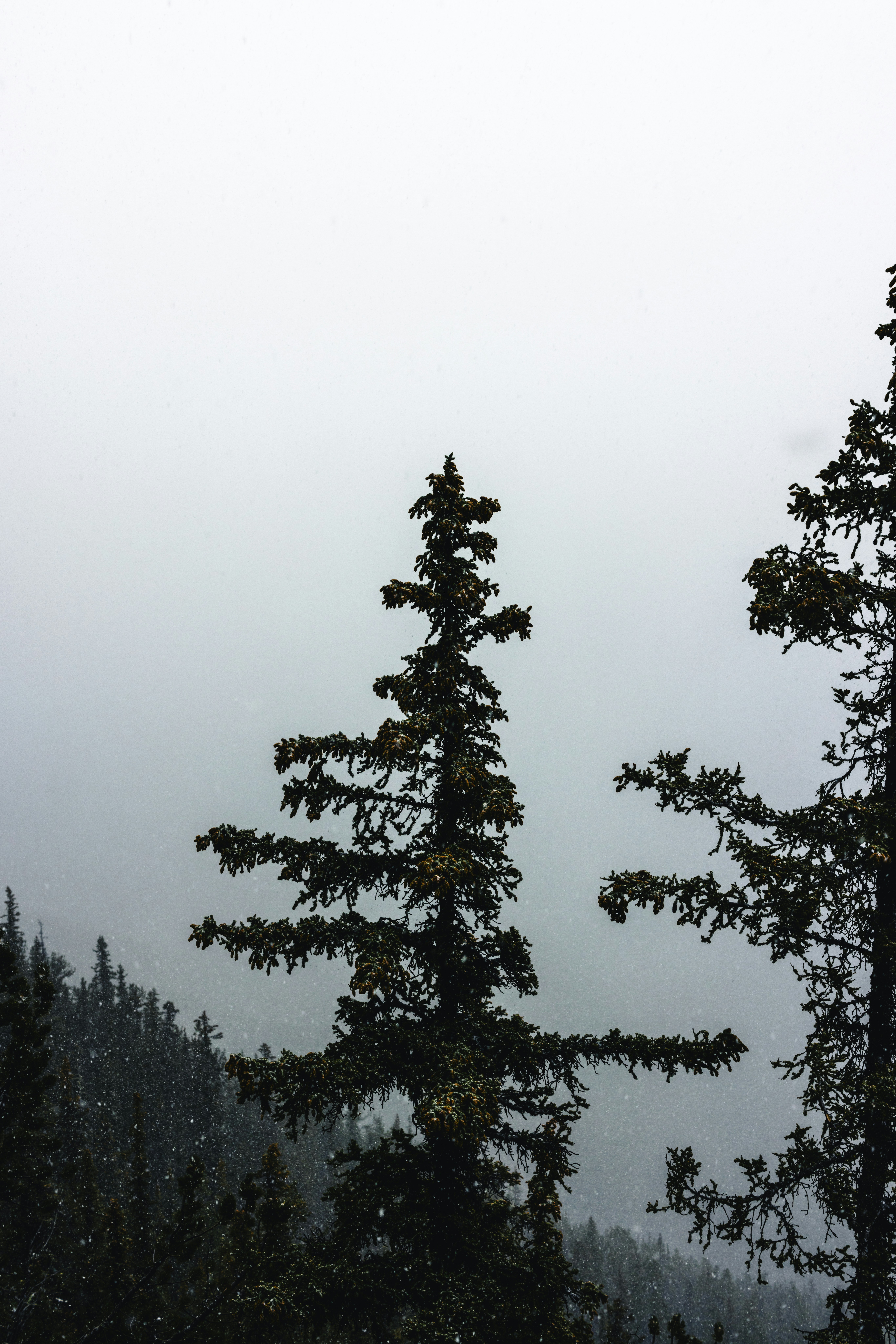 Photo by lureofadventure