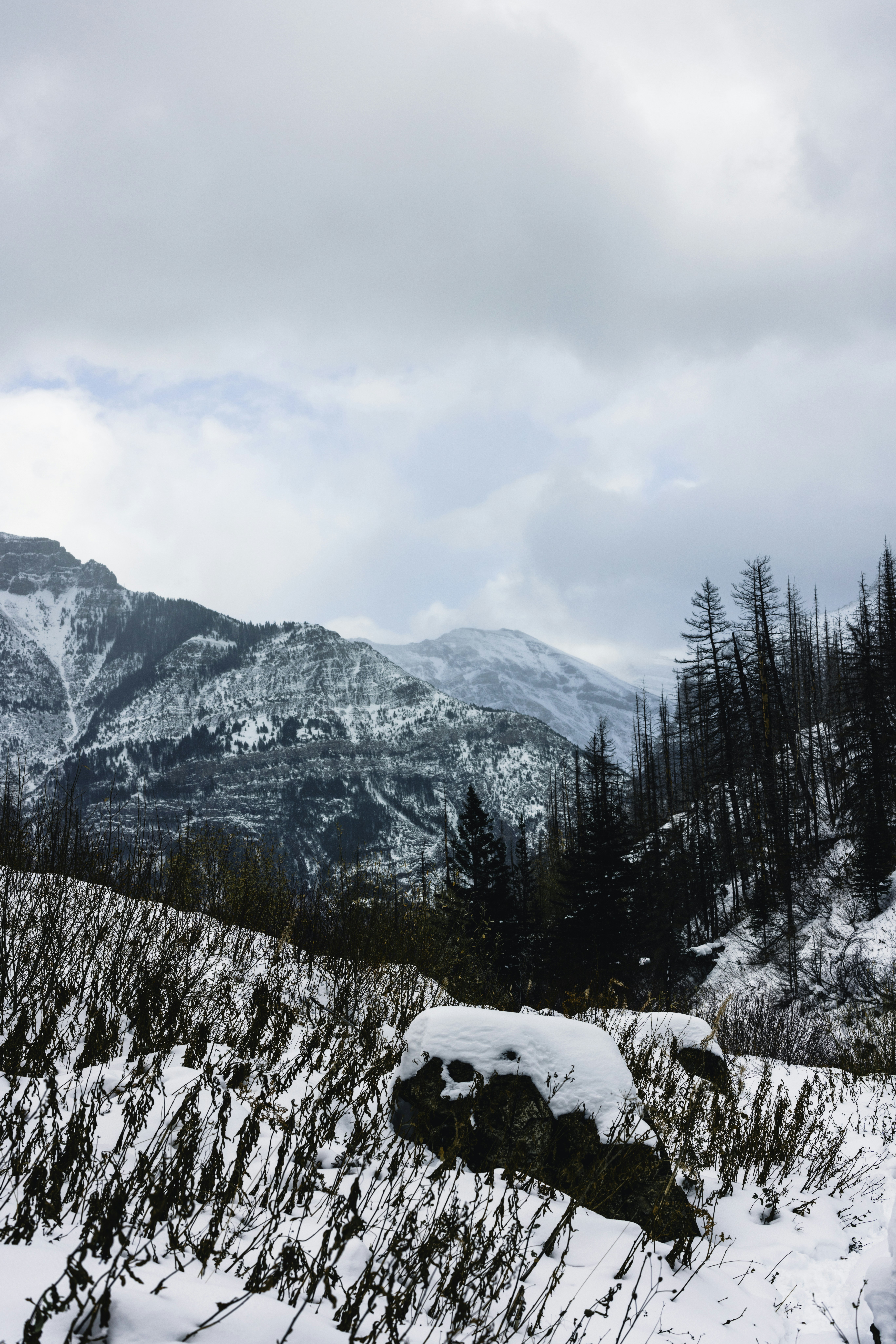 Photo by lureofadventure