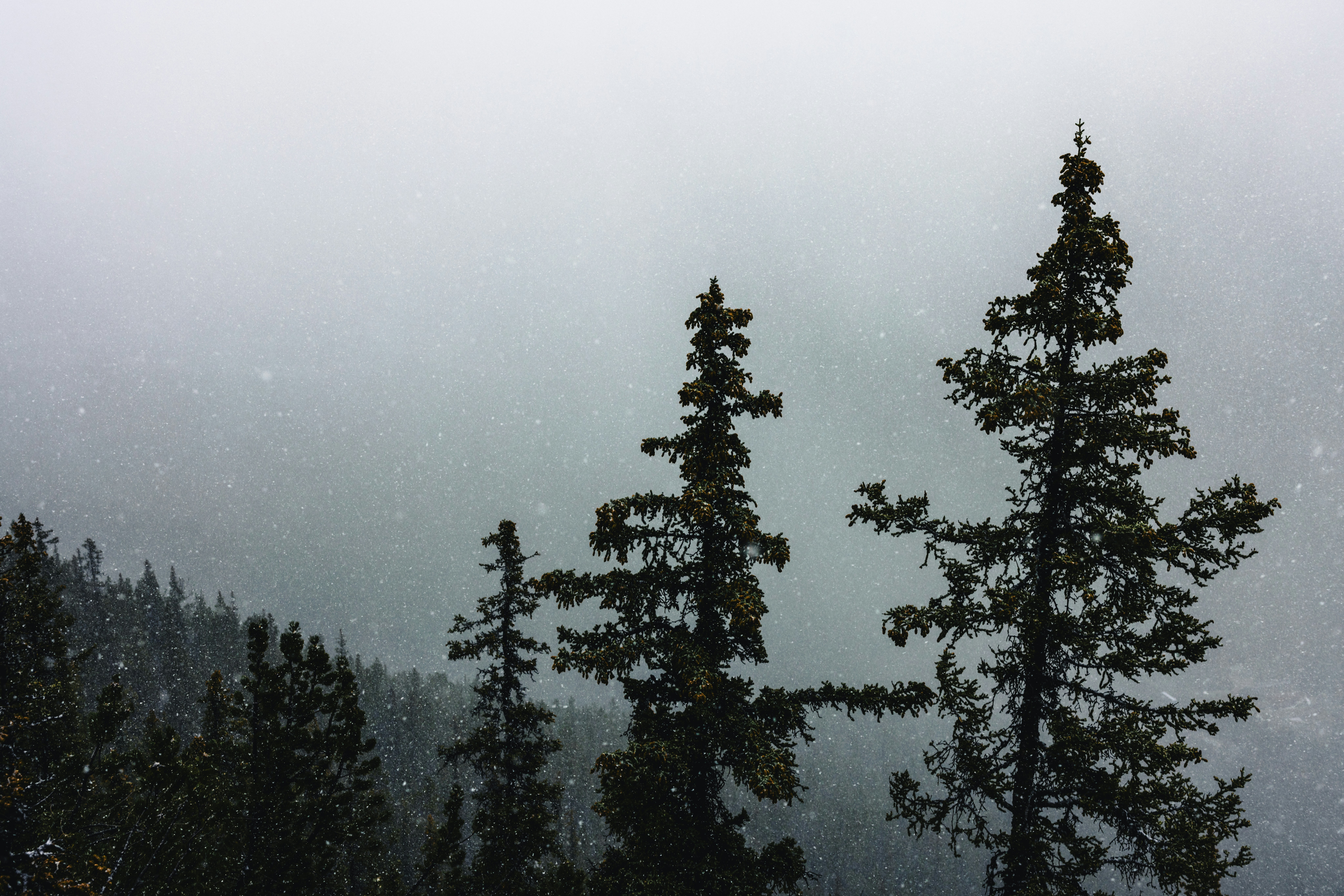 Photo by lureofadventure