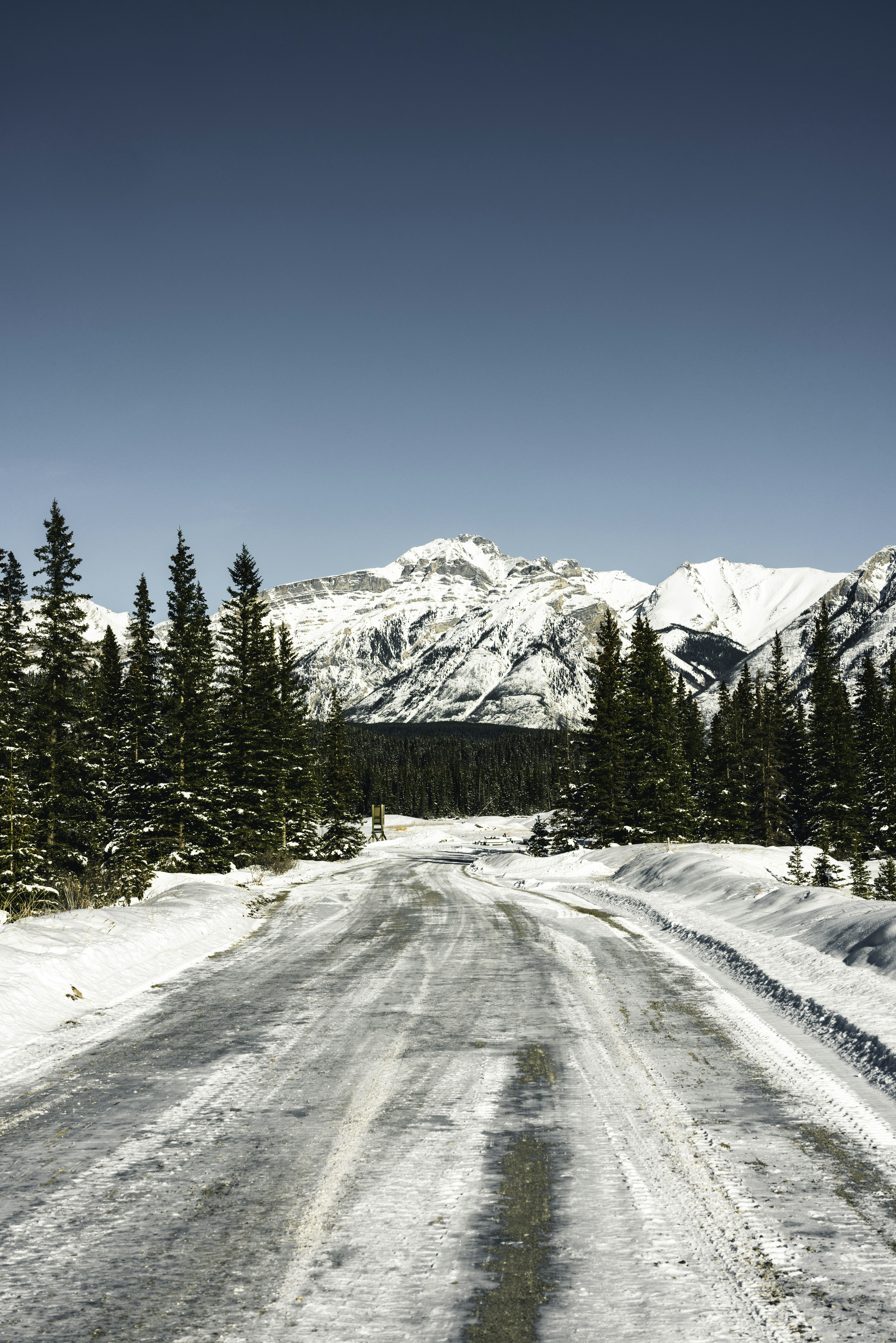 Photo by lureofadventure