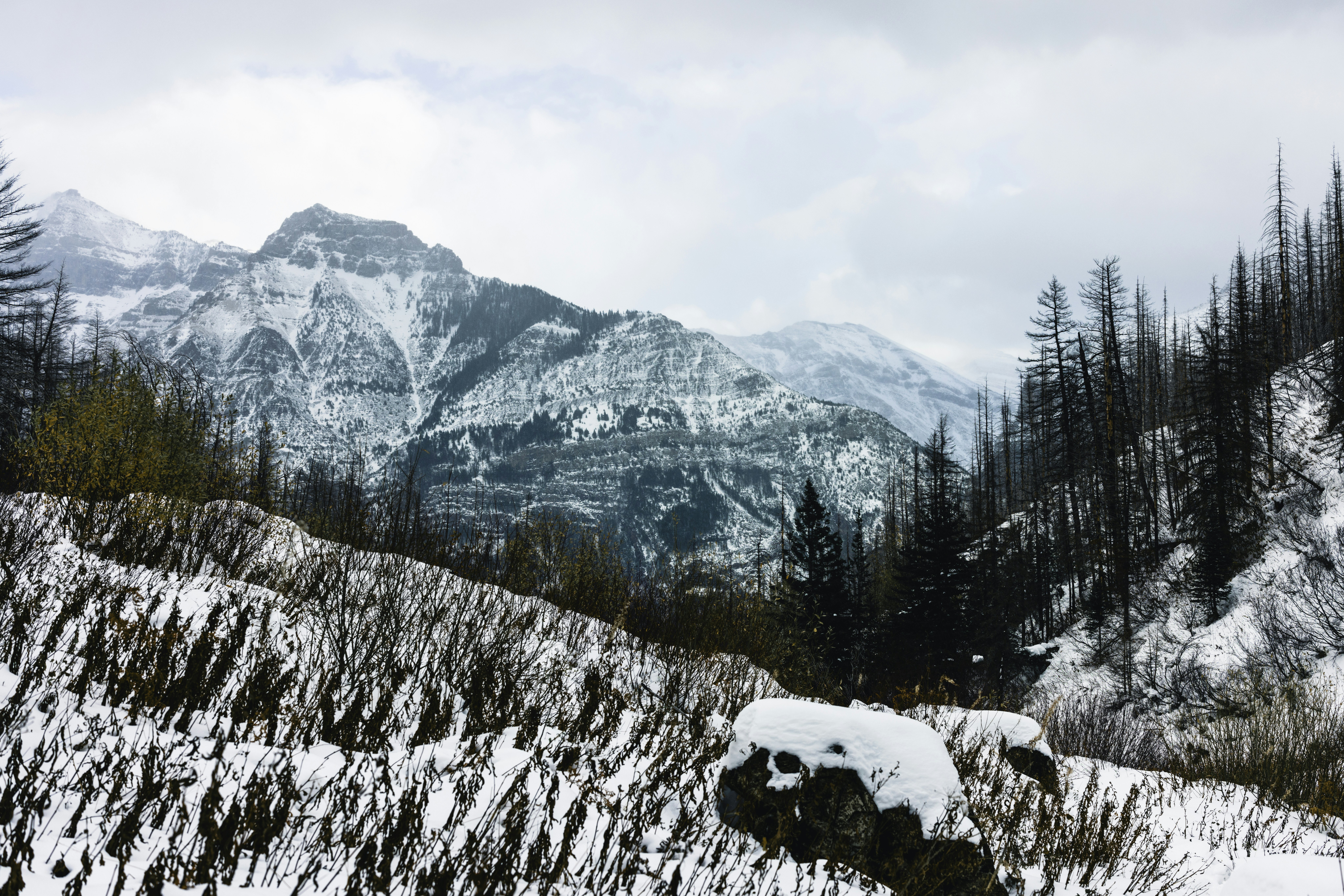 Photo by lureofadventure