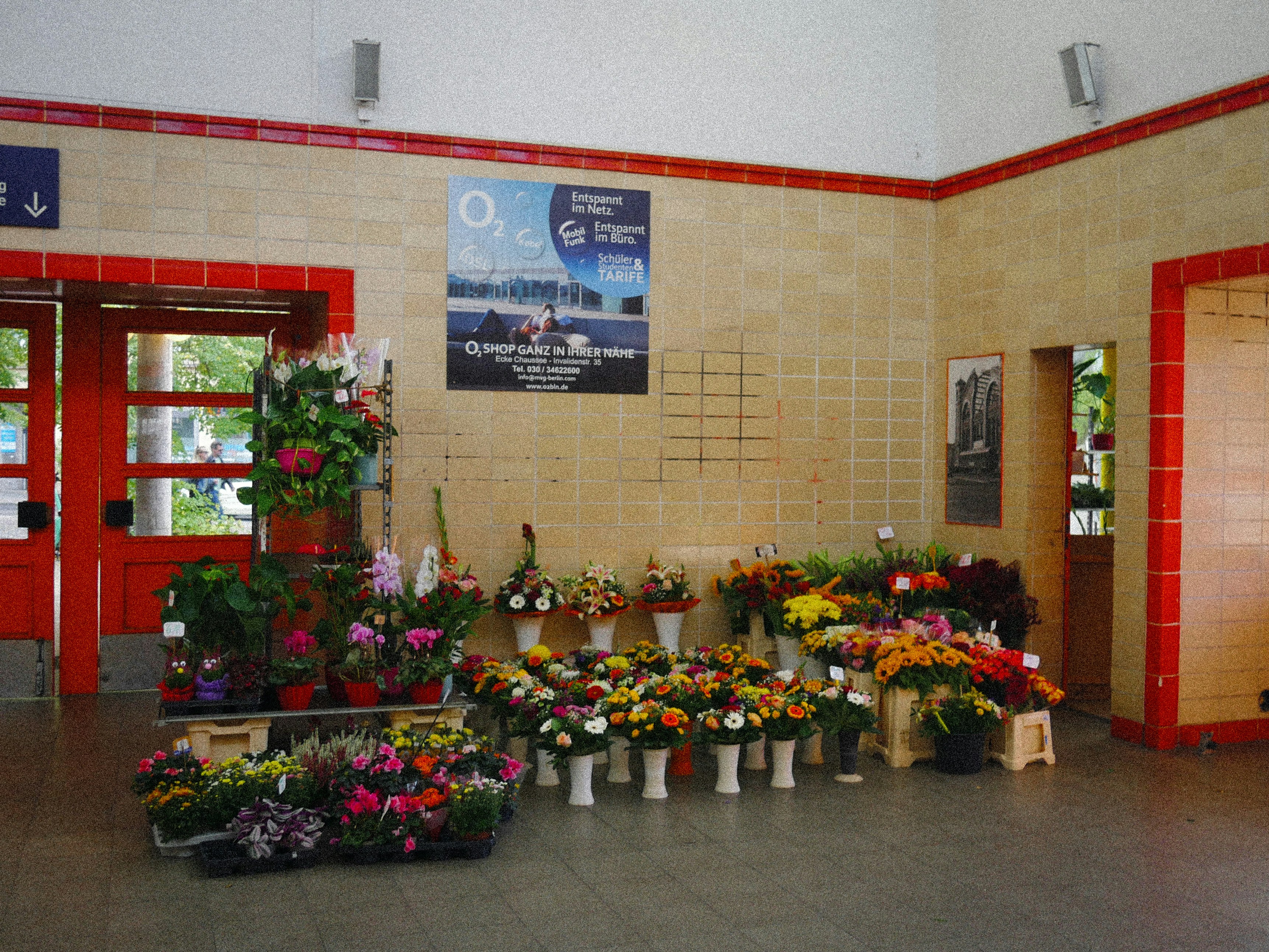 A bunch of flowers that are sitting in a room
