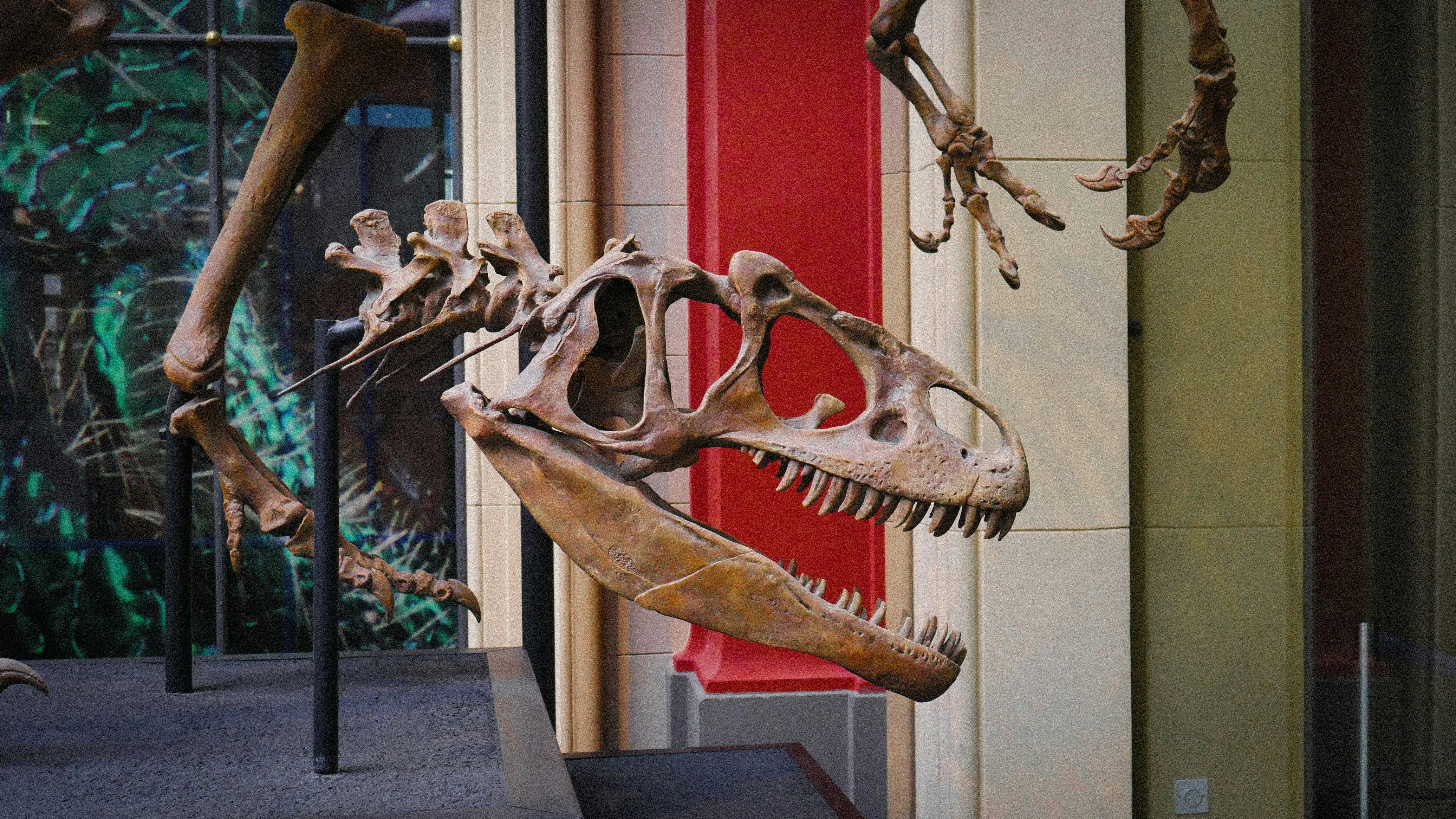 Photo by diegosmarines