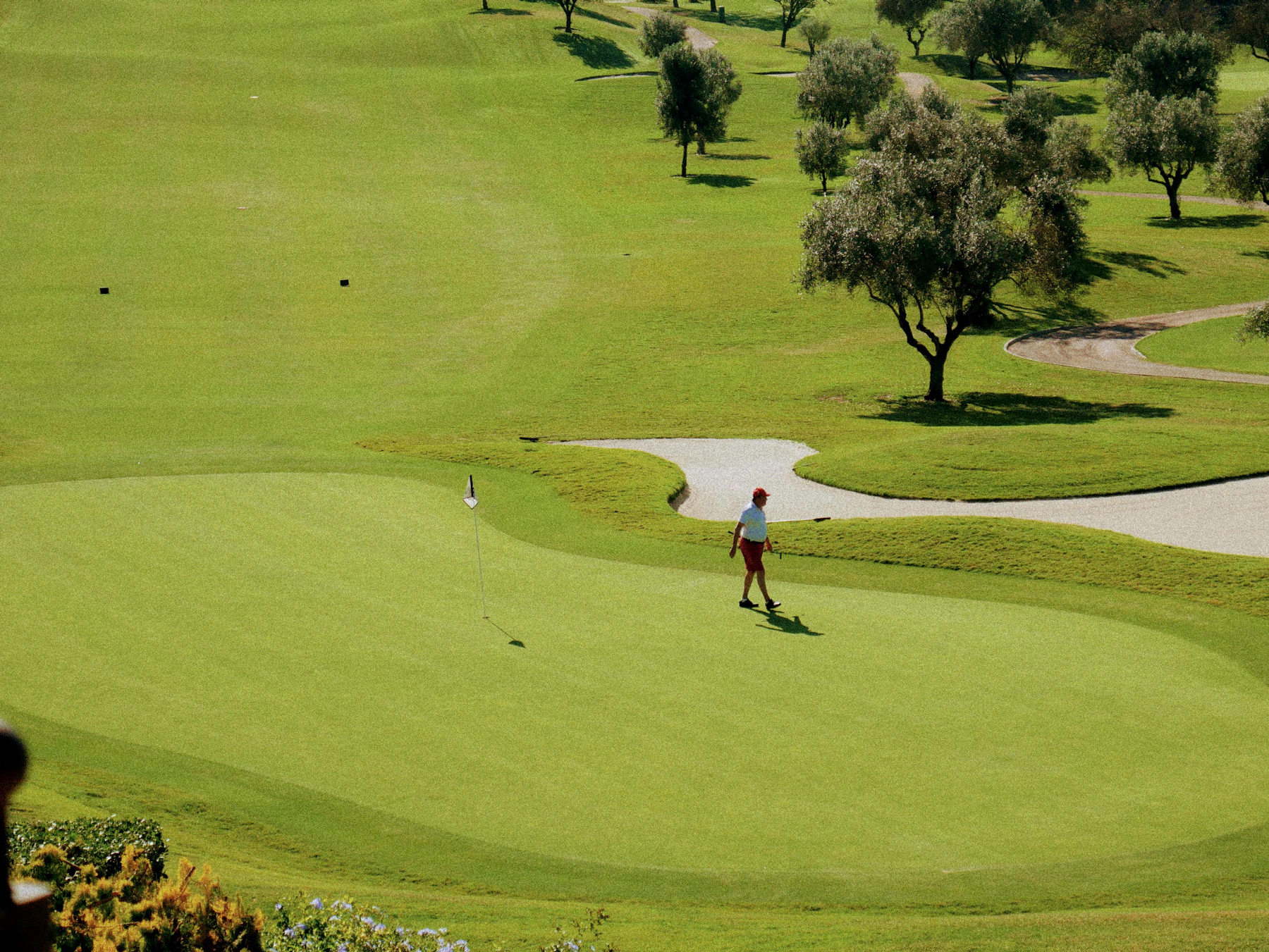 A golfer on a green course bordered by trees and sand bunkers.