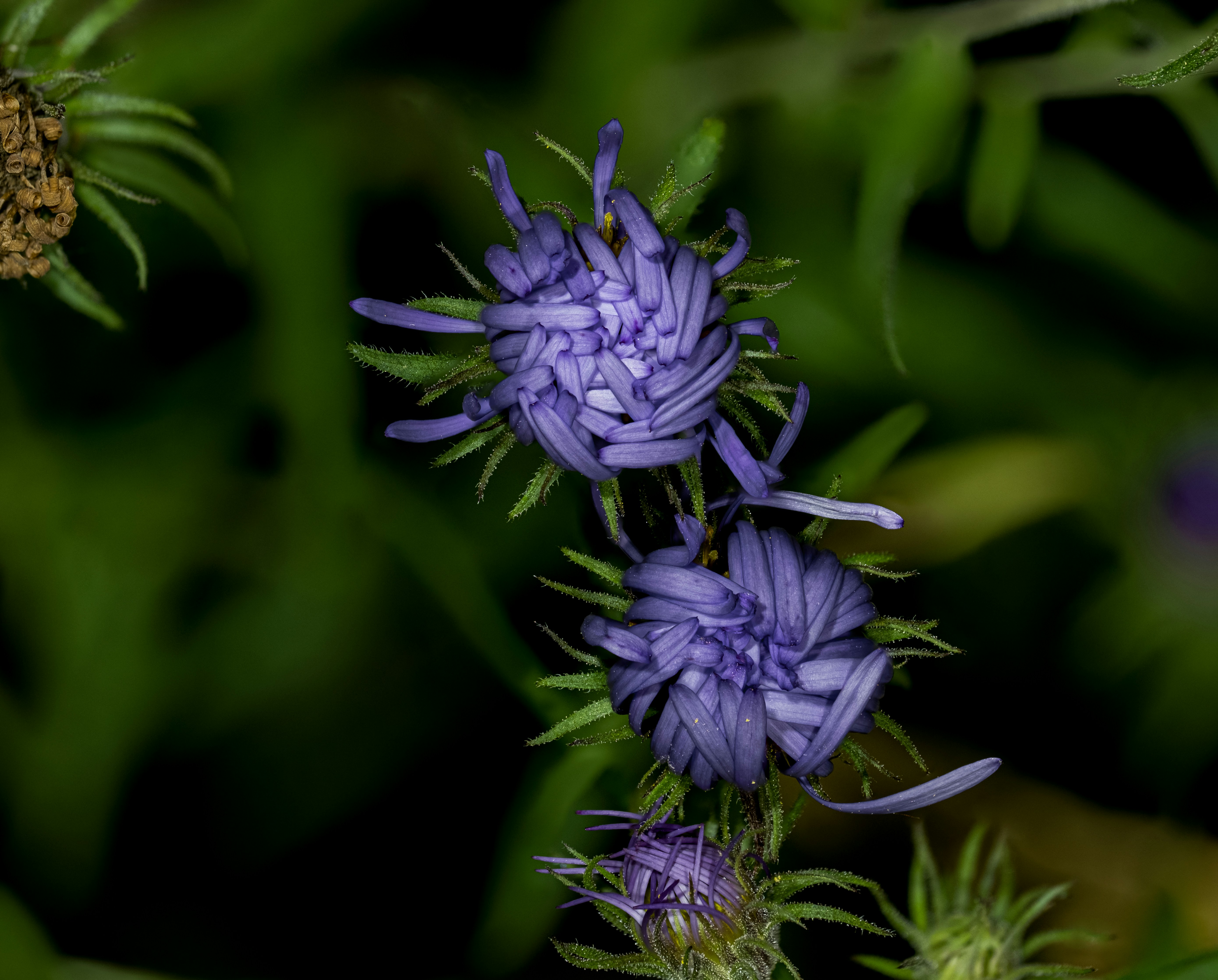 Photo by alexandredaoust