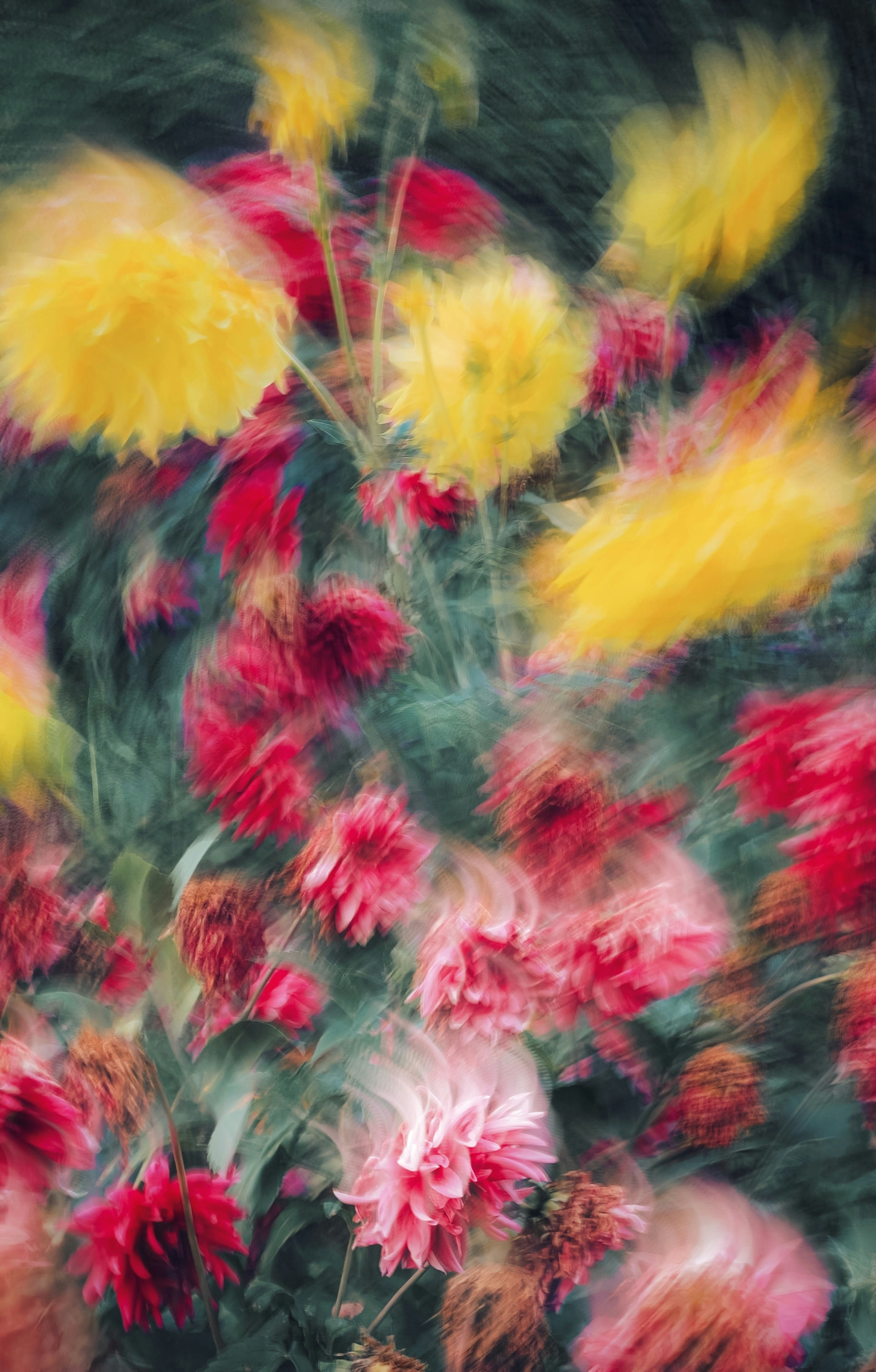 Photo by eugene_golovesov