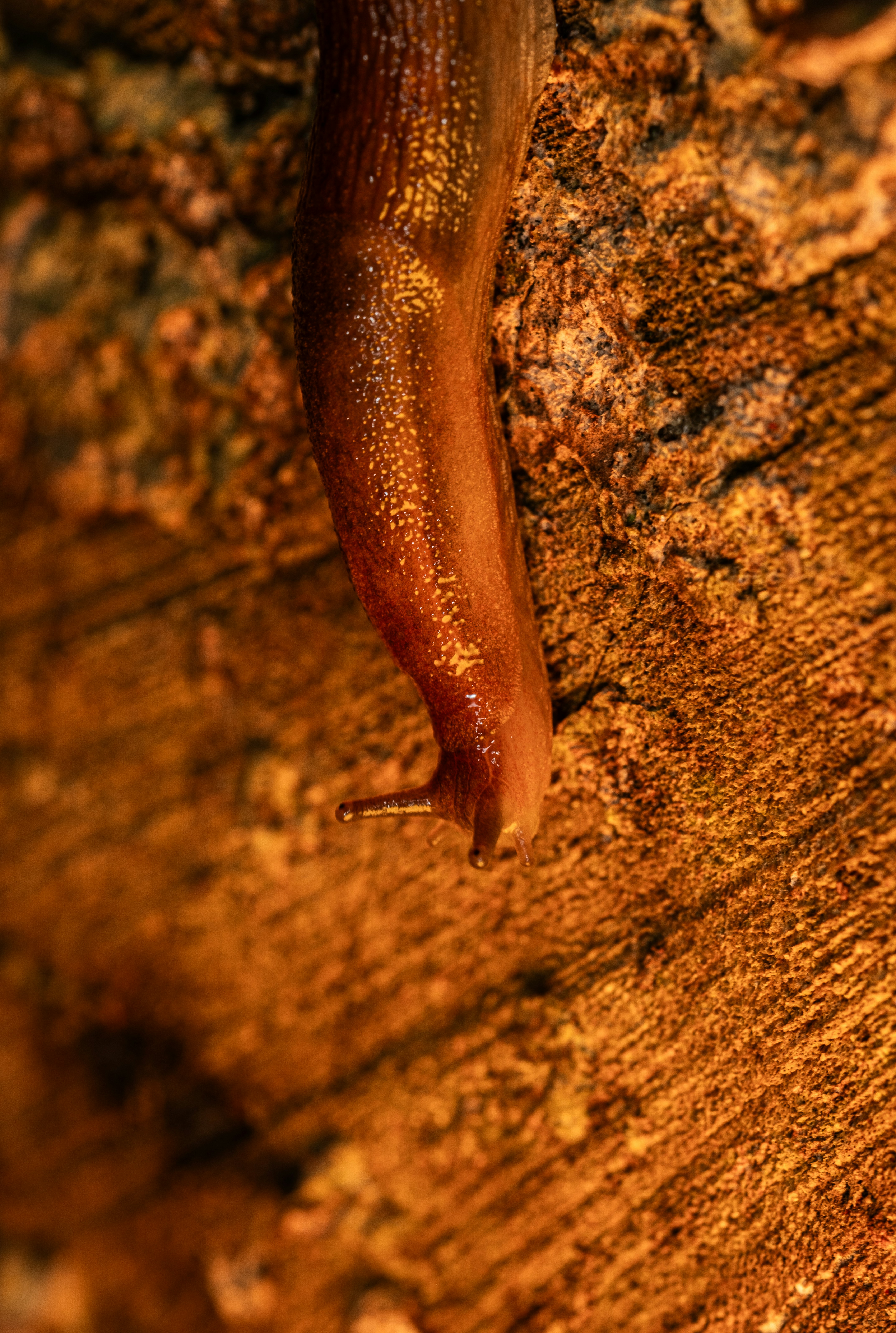 Photo by alexandredaoust