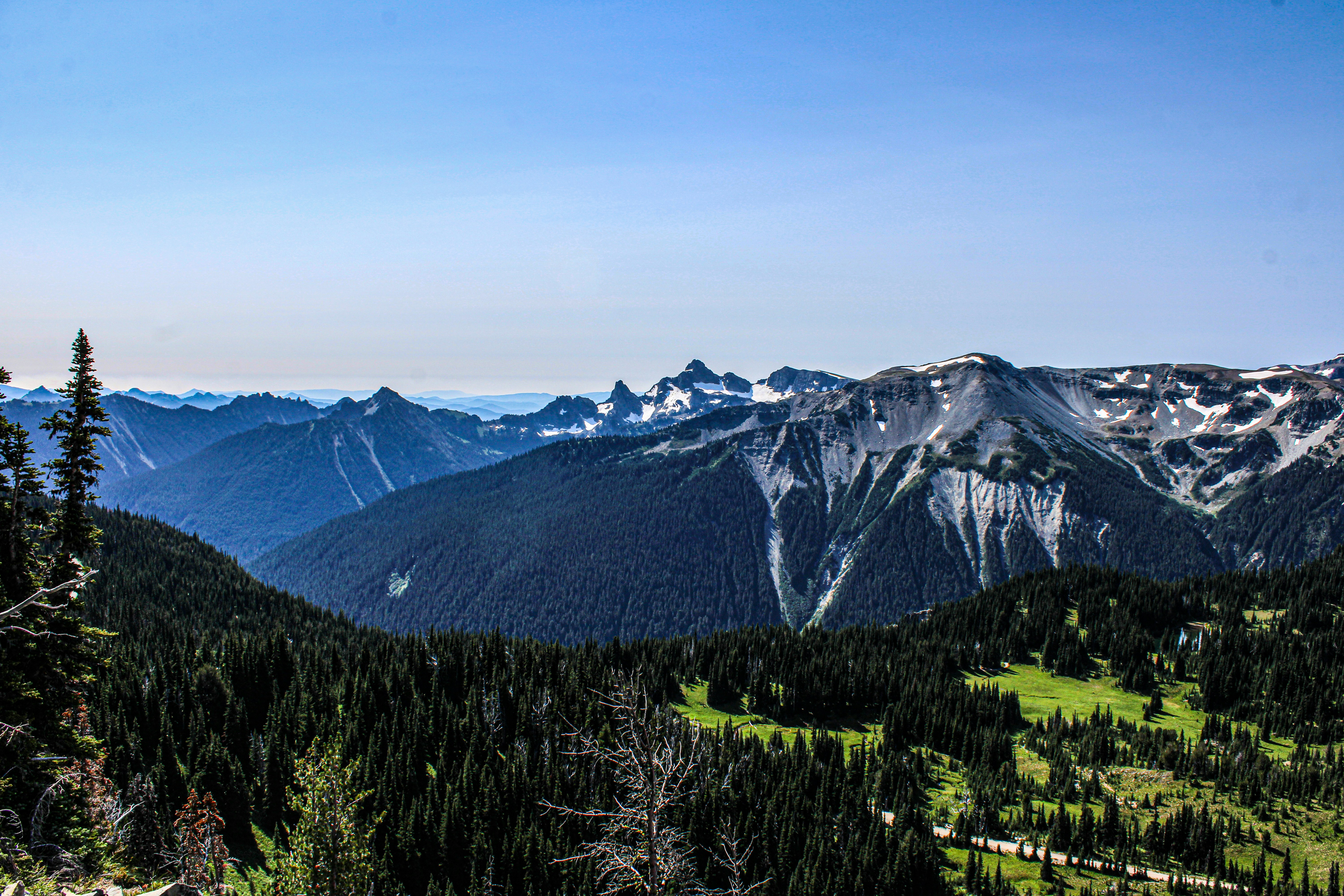 Photo by prphotography262