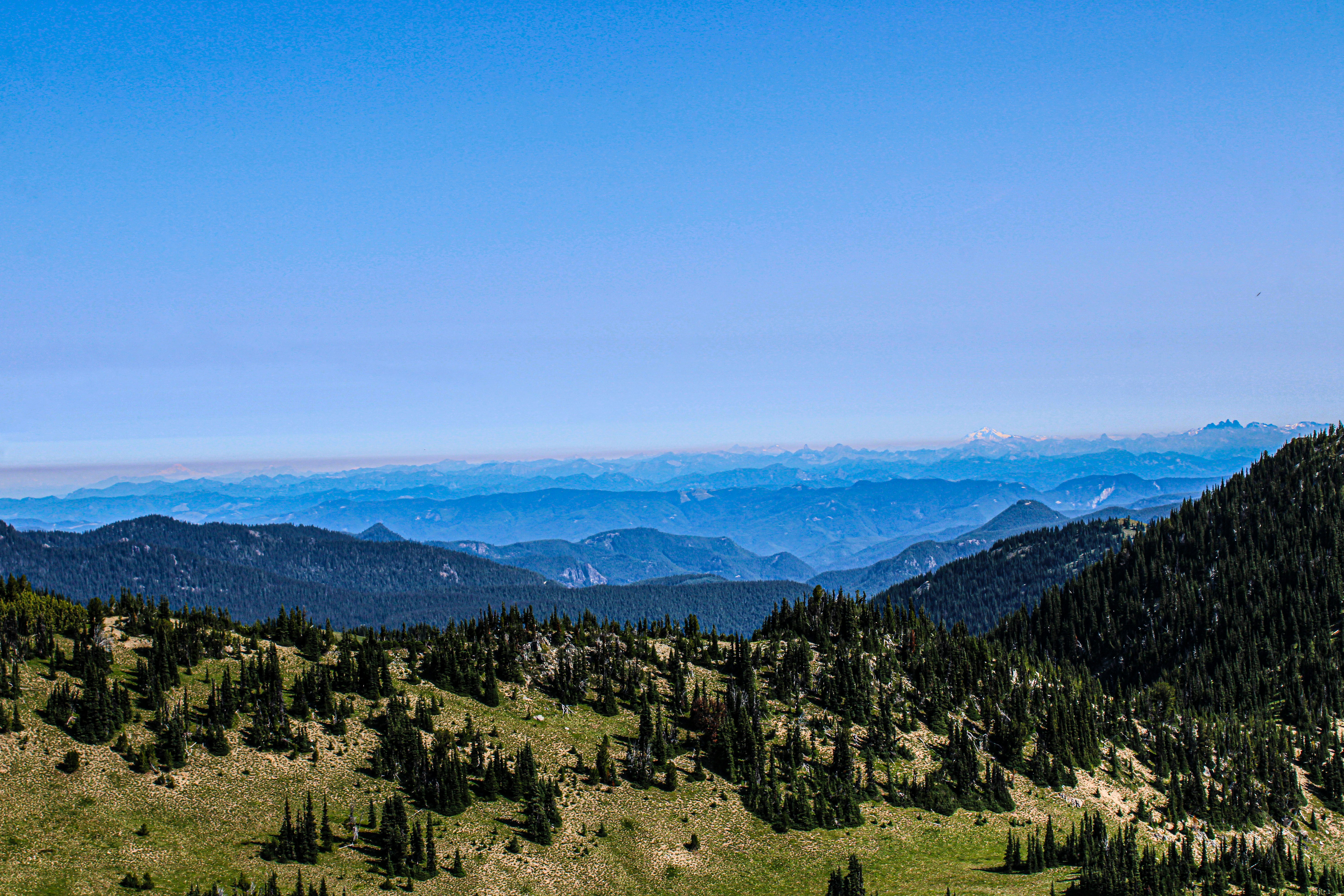 Photo by prphotography262