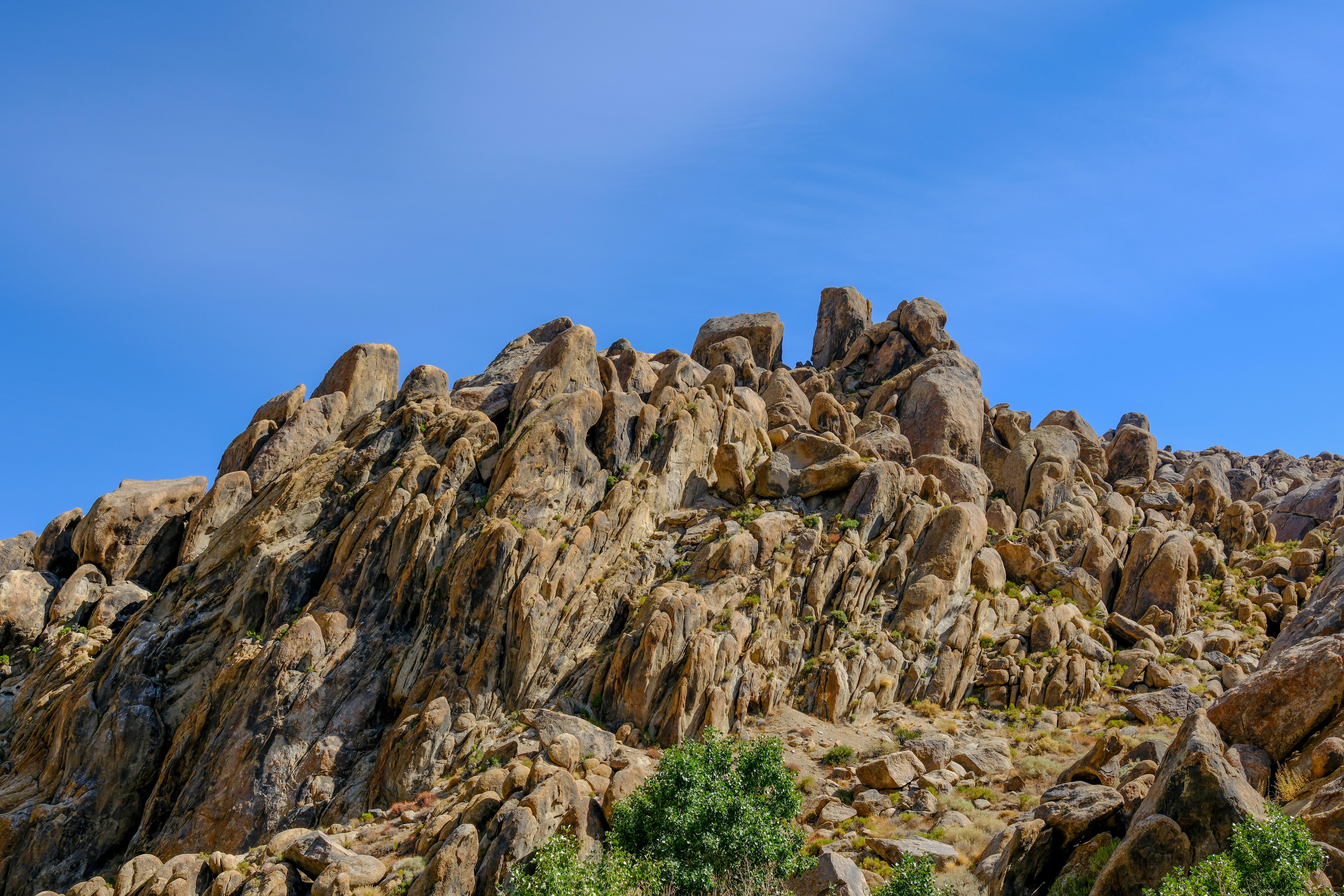 Photo by markthethomas