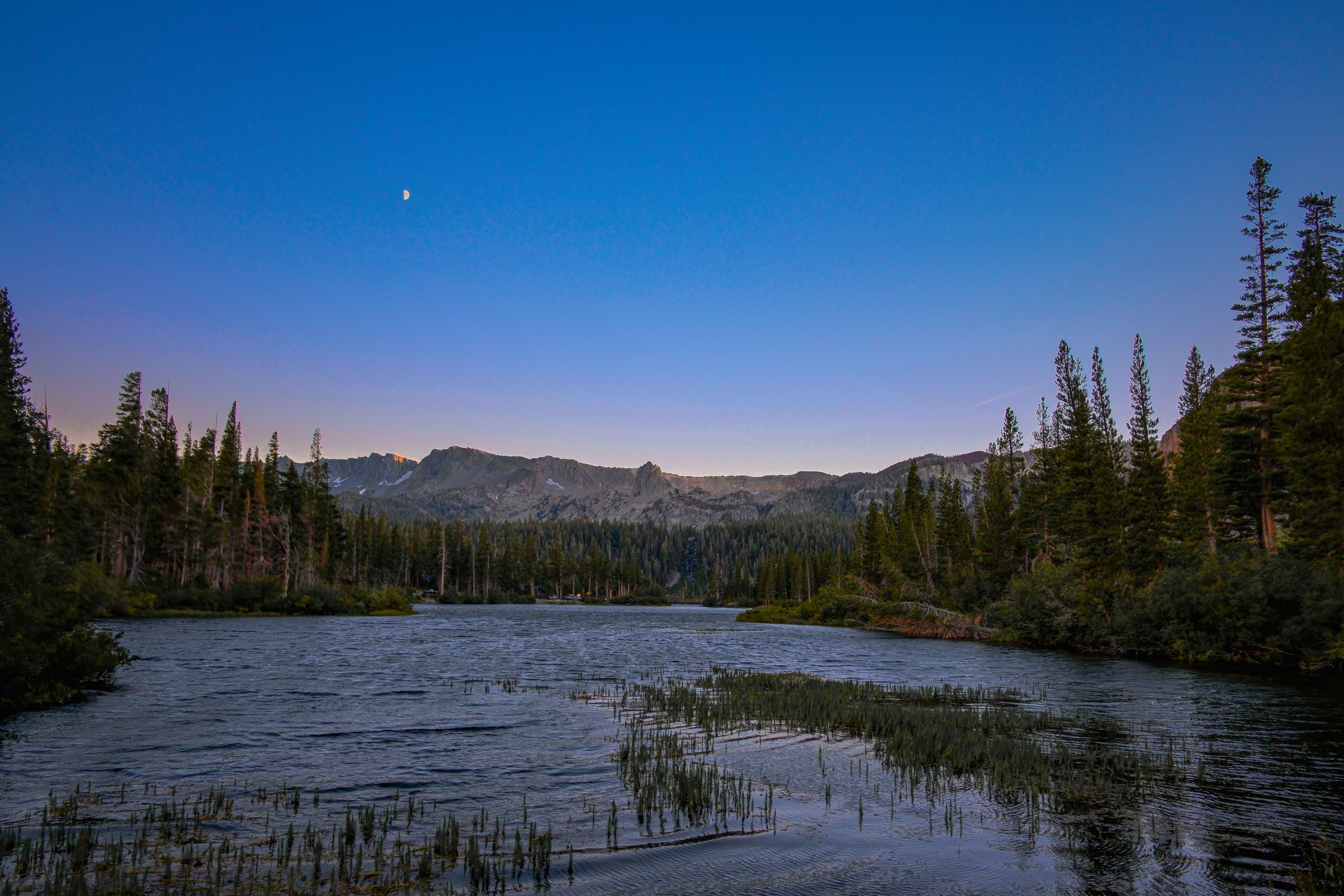 Photo by markthethomas