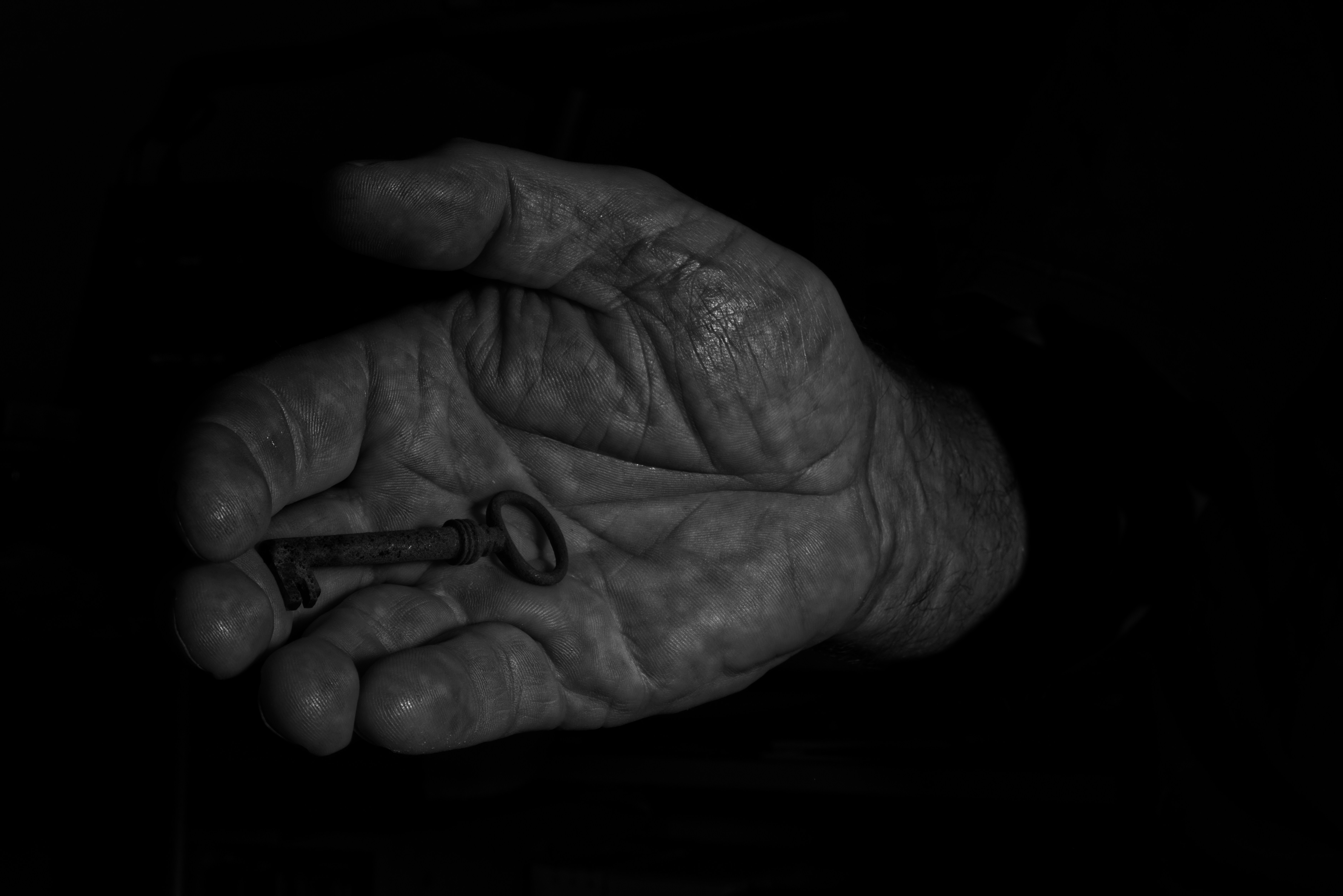 Bugün öğrendim ki: Fok Parmağı işlenmemiş fok...