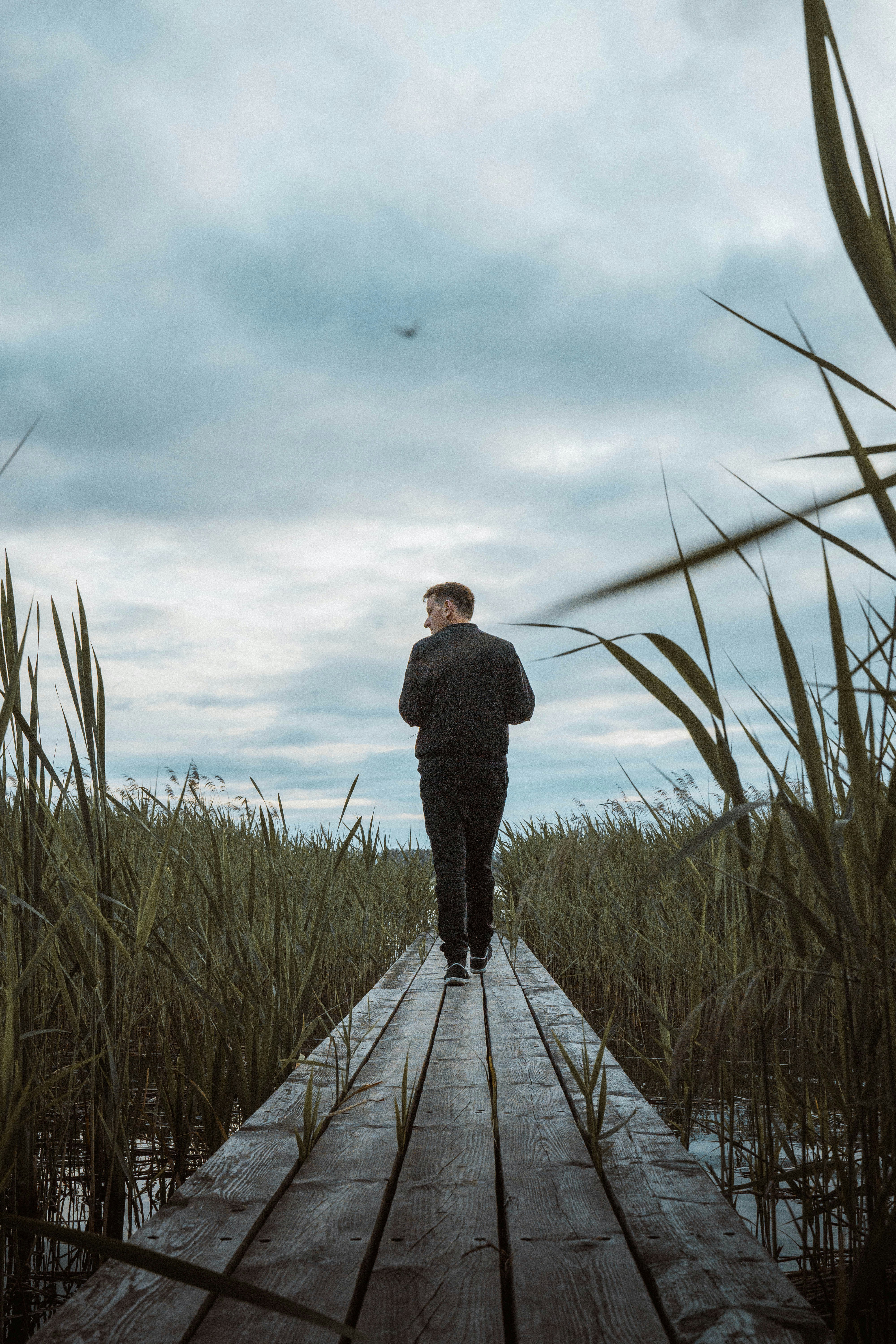 Photo by abalashevsky