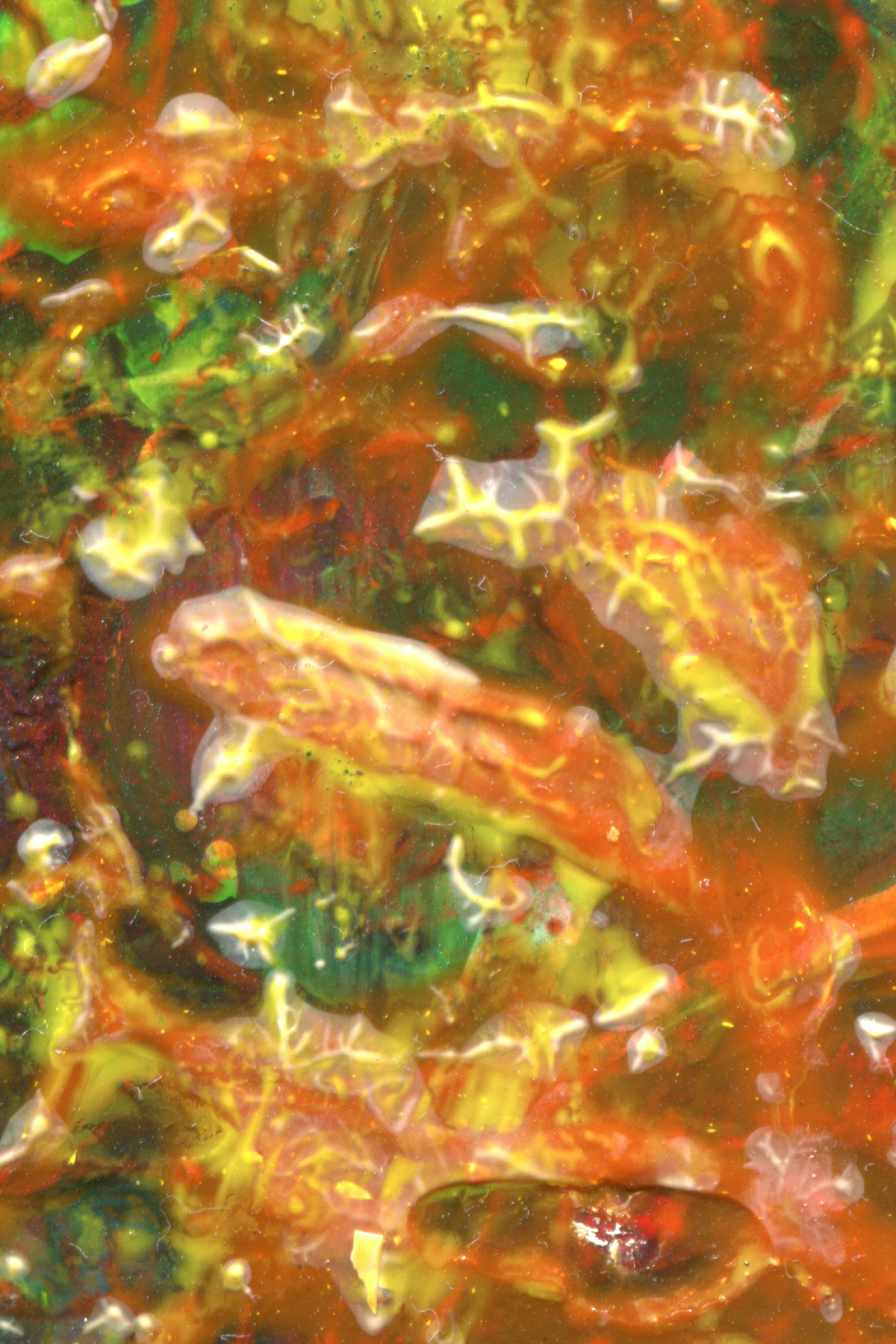 Photo by sensoryarthouse