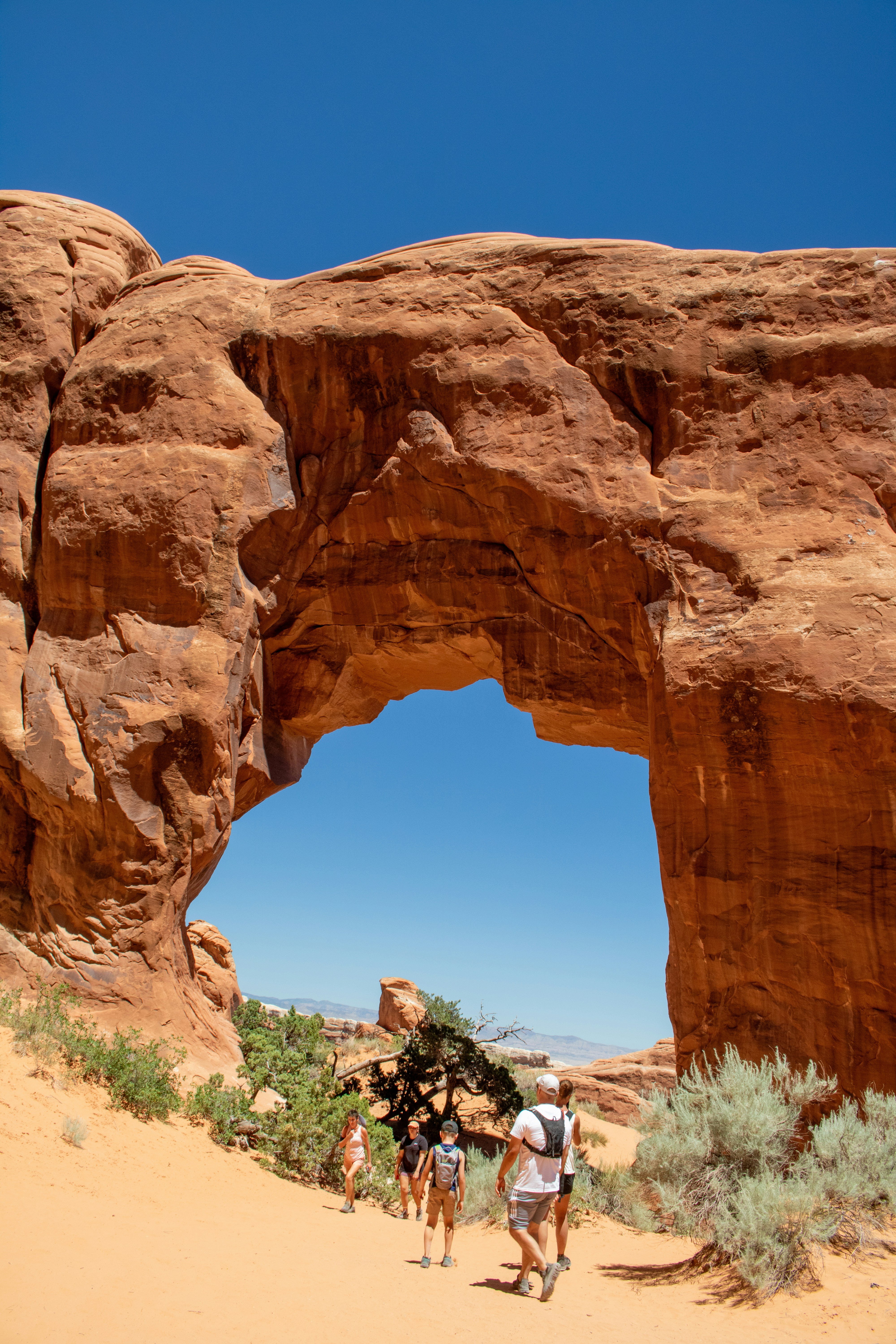 Photo by zoshuacolah