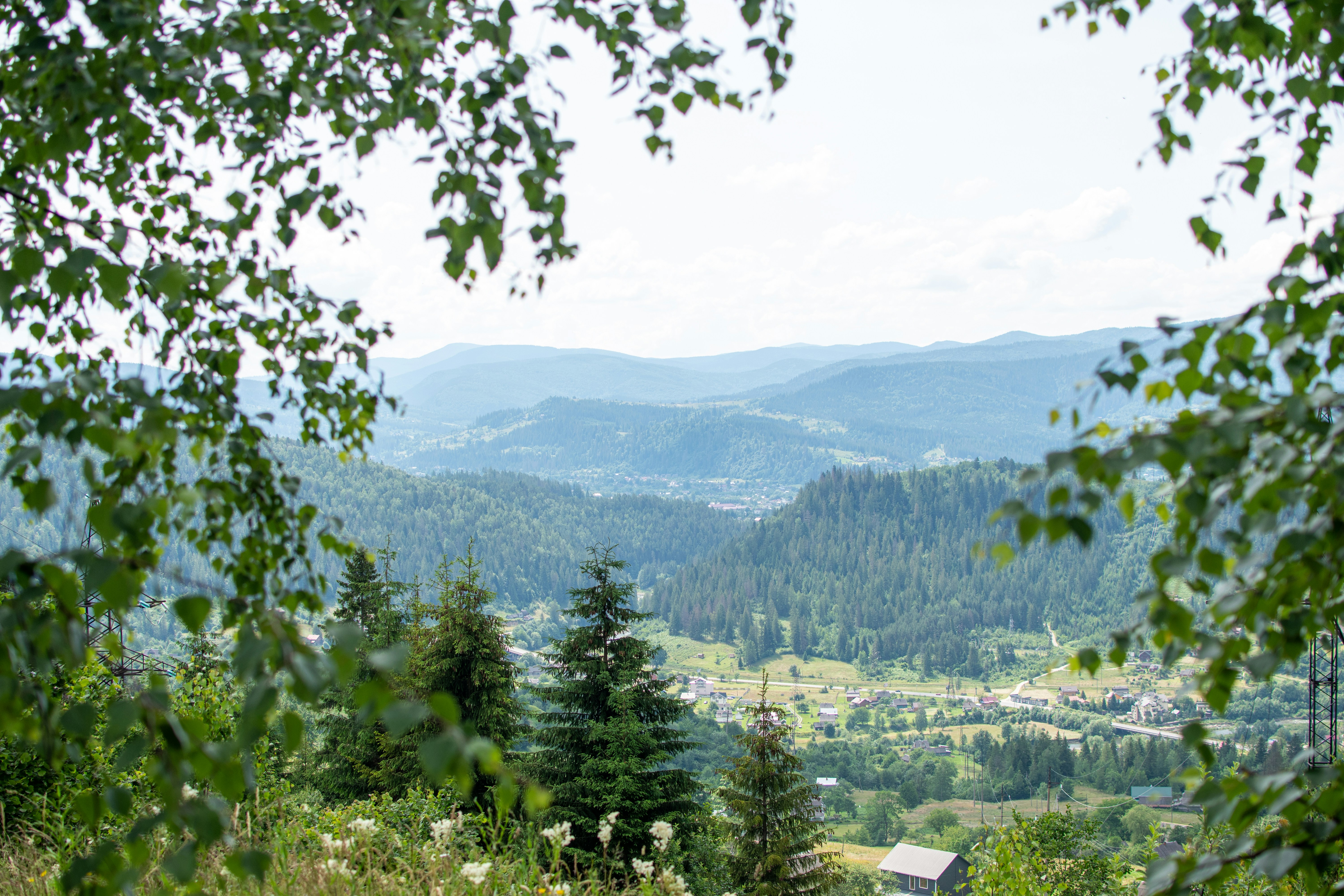 Photo by yevhen_stienin