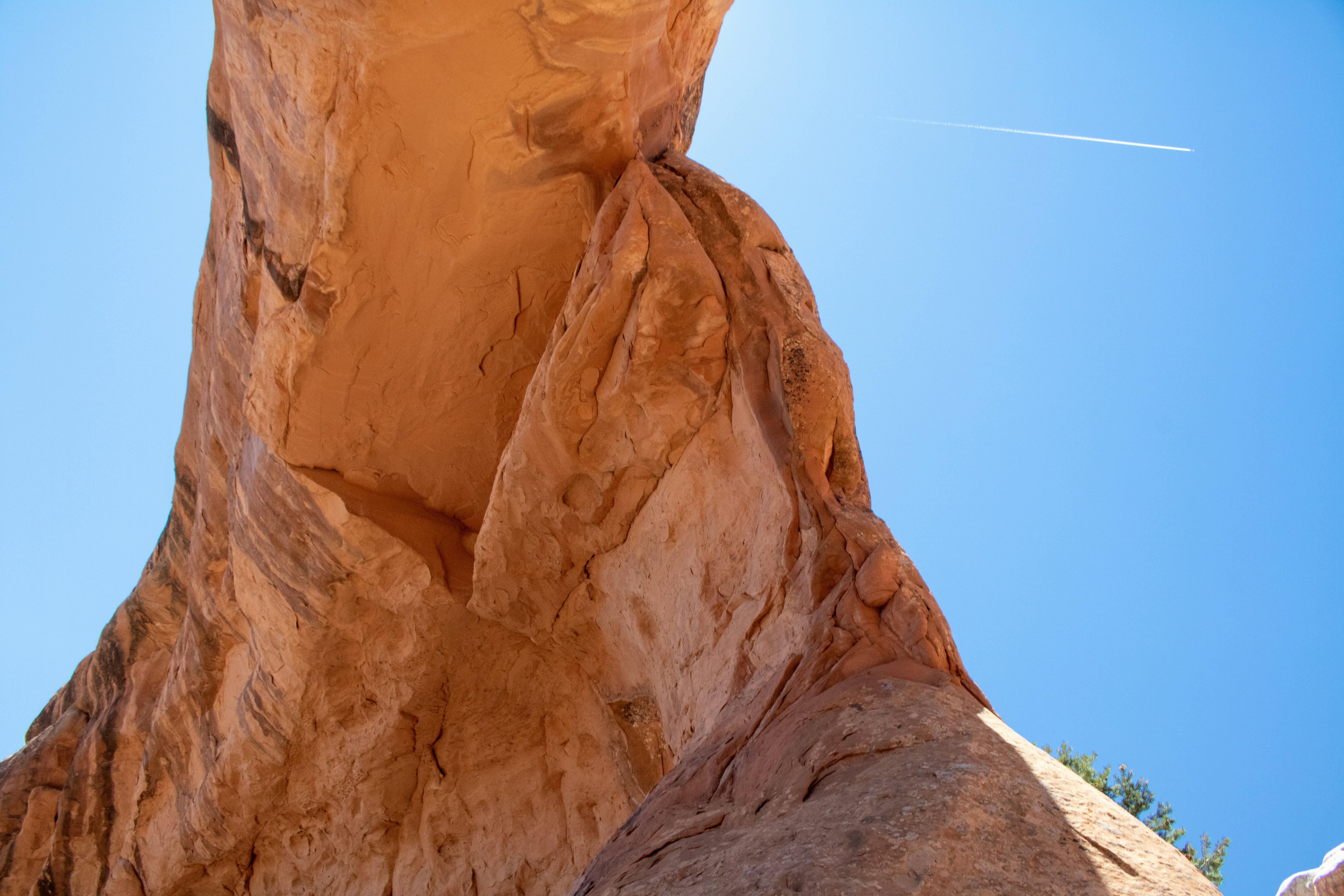 Photo by zoshuacolah