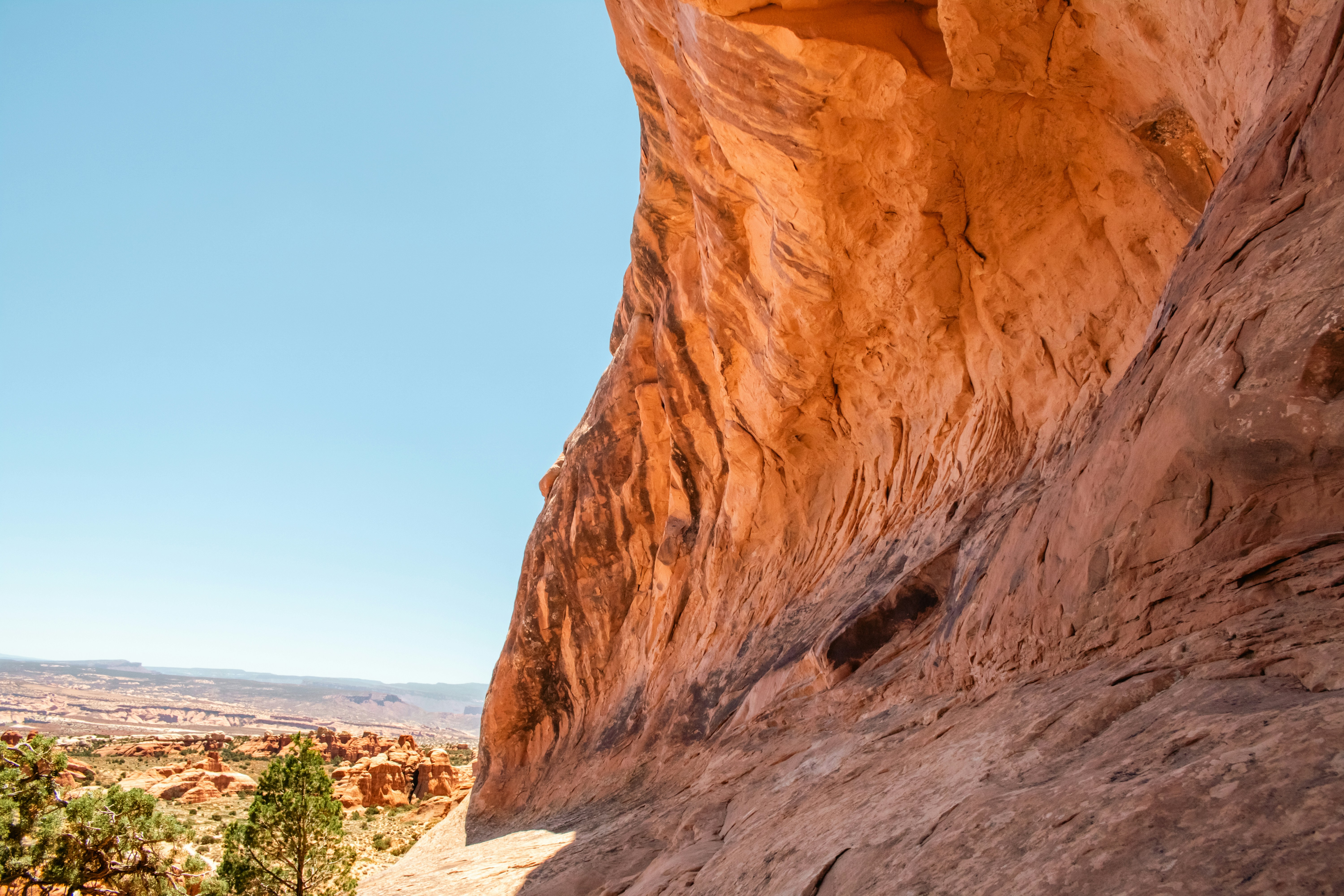 Photo by zoshuacolah