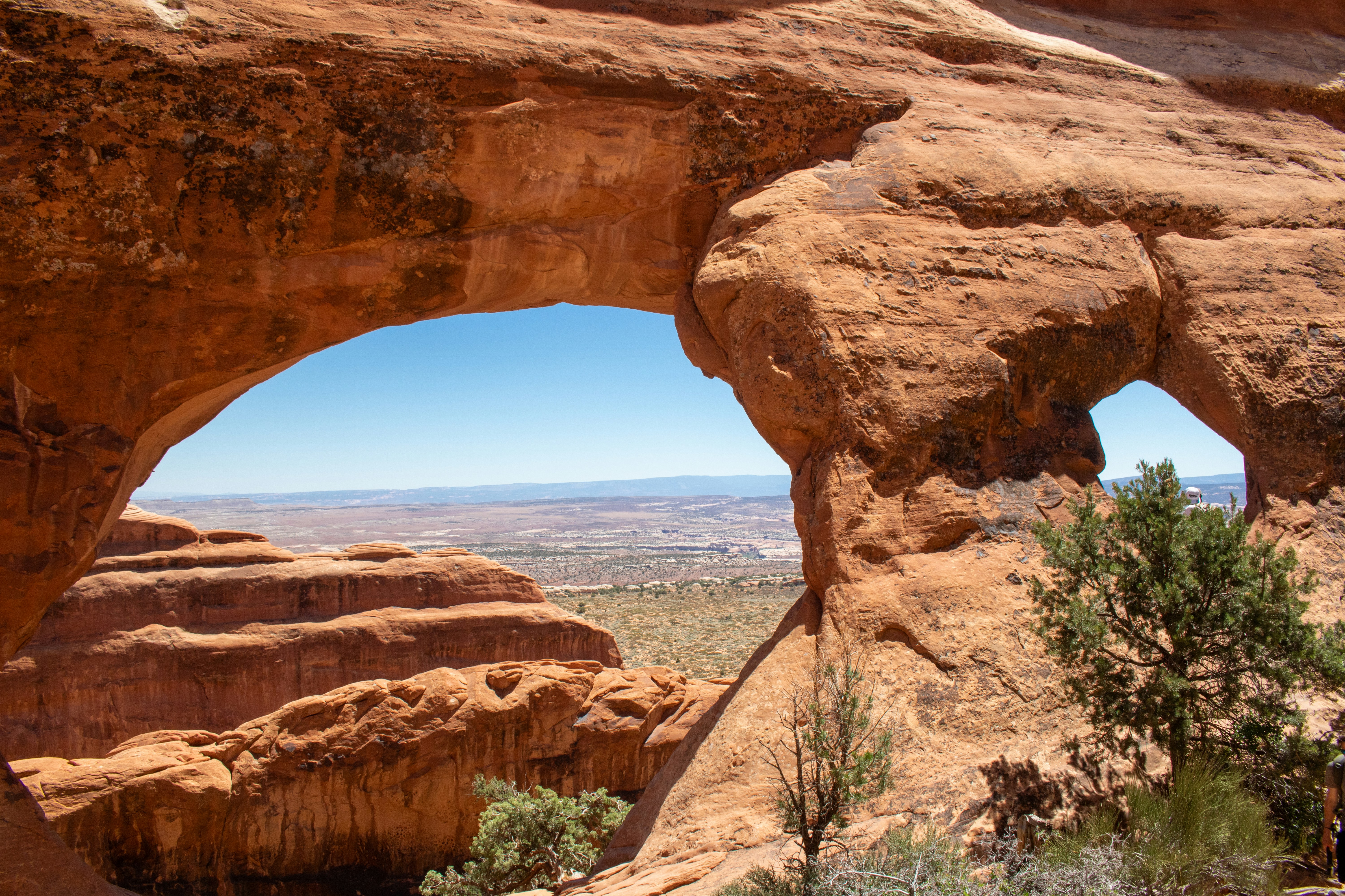 Photo by zoshuacolah