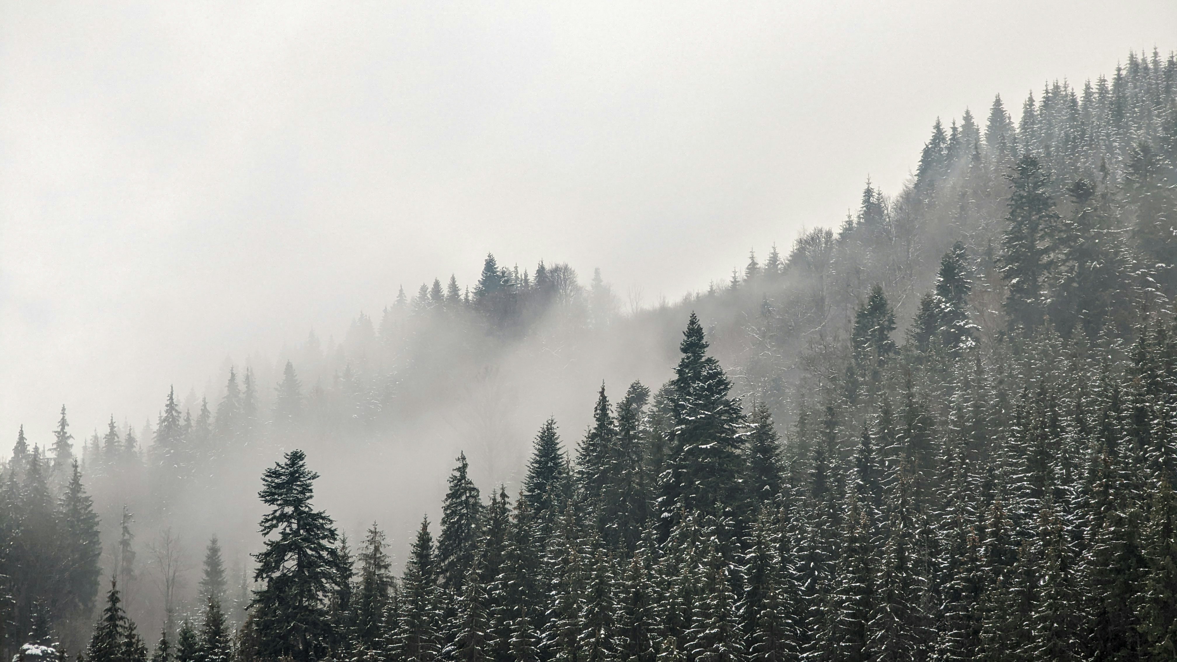 Photo by yevhen_stienin