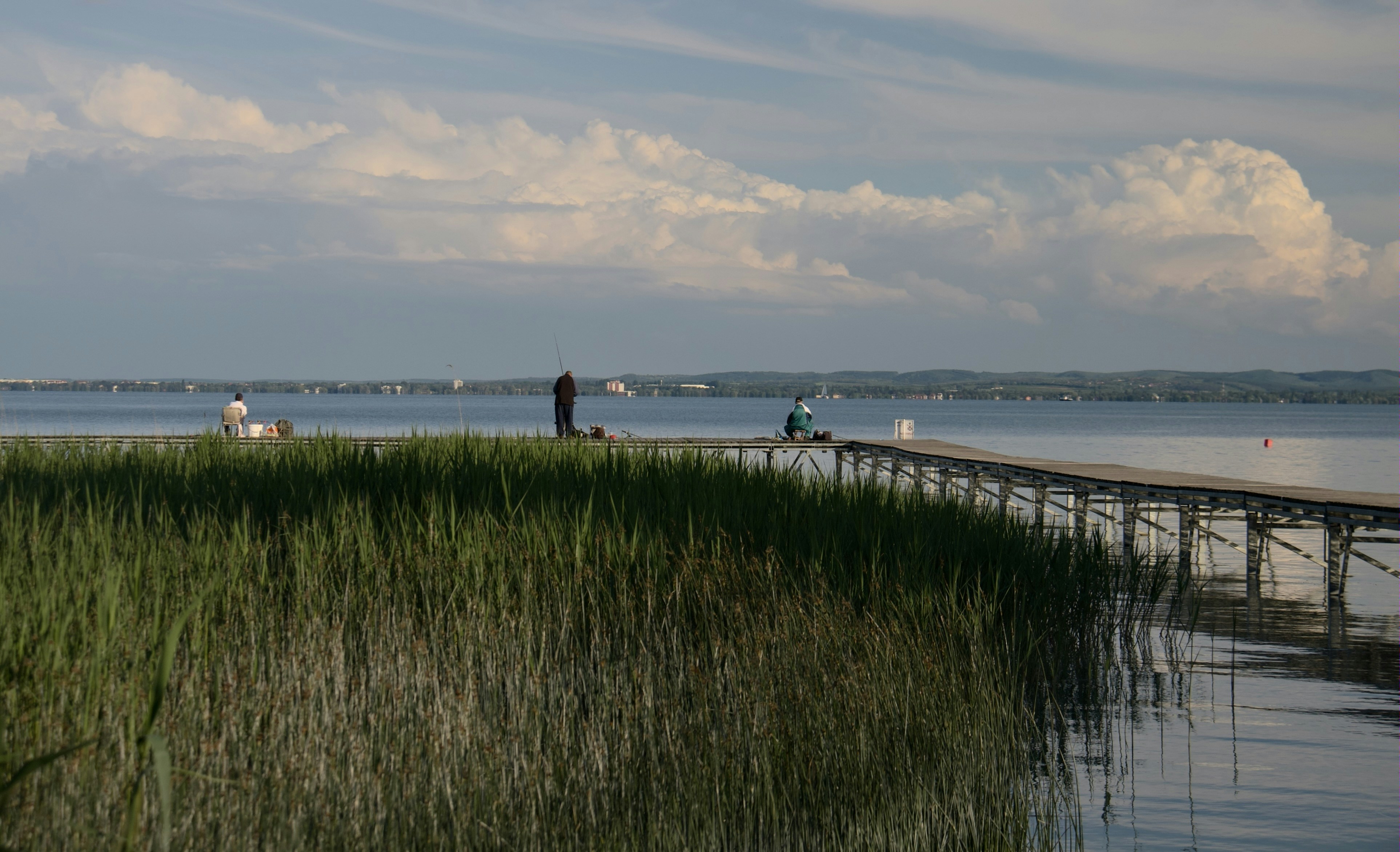 Photo by mihaly_koles