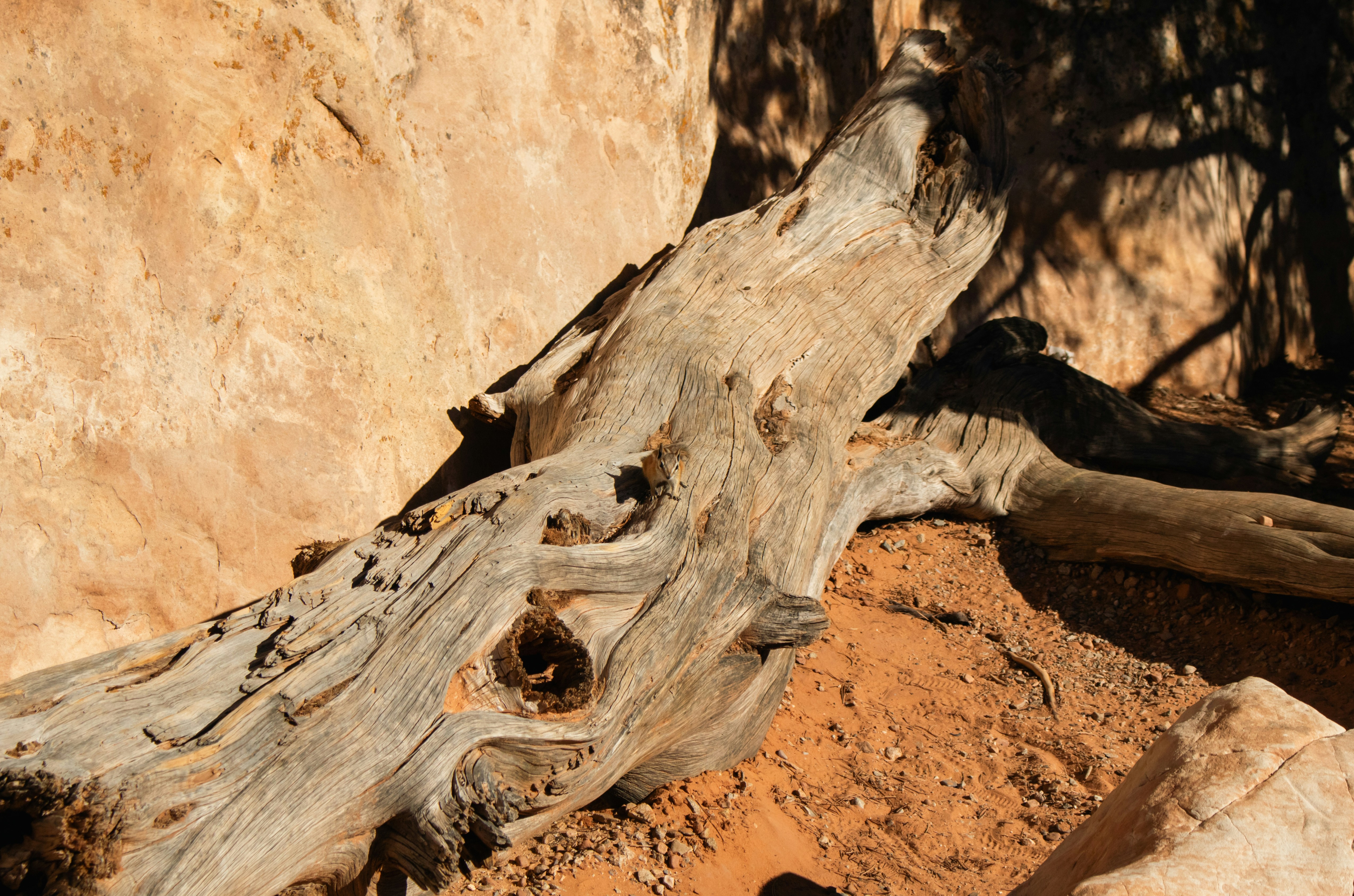 Photo by zoshuacolah