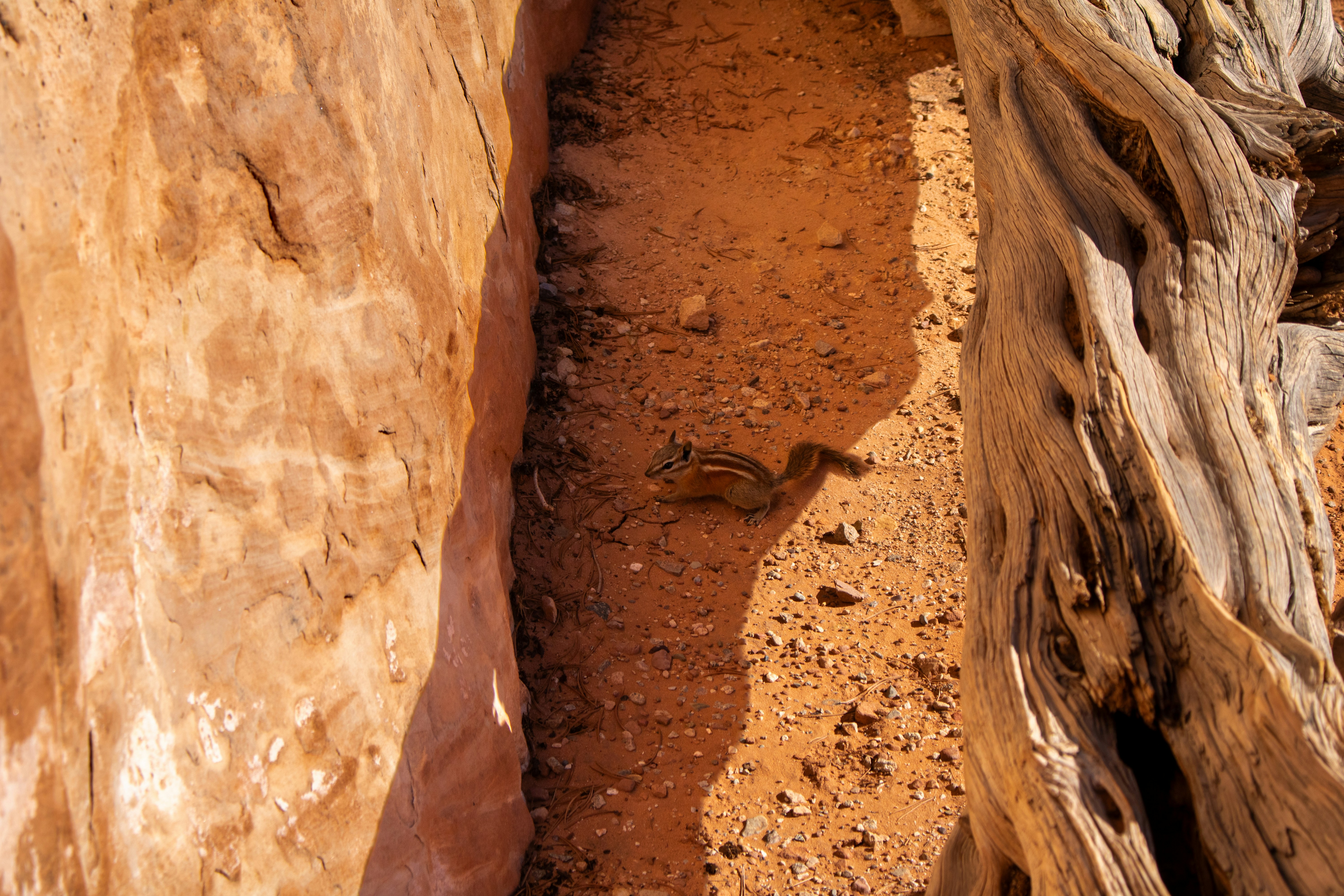 Photo by zoshuacolah