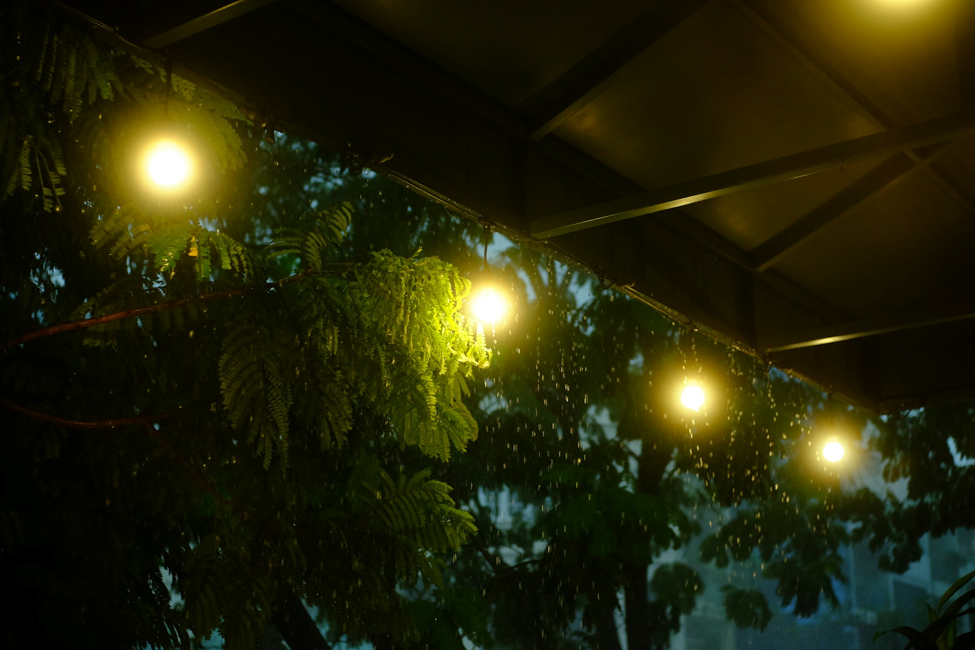 A group of lights that are hanging from a roof