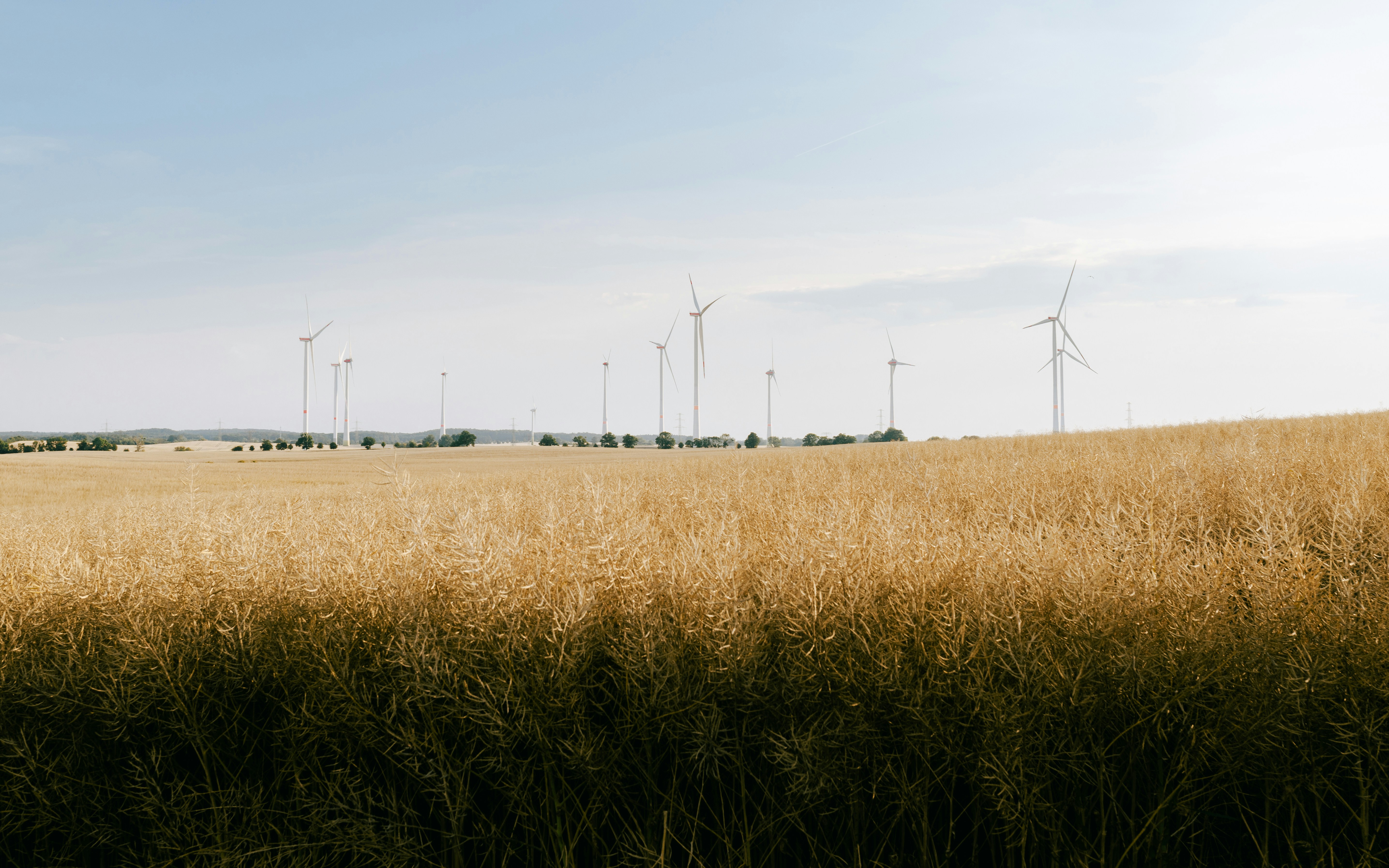 Photo by nikita_pishchugin