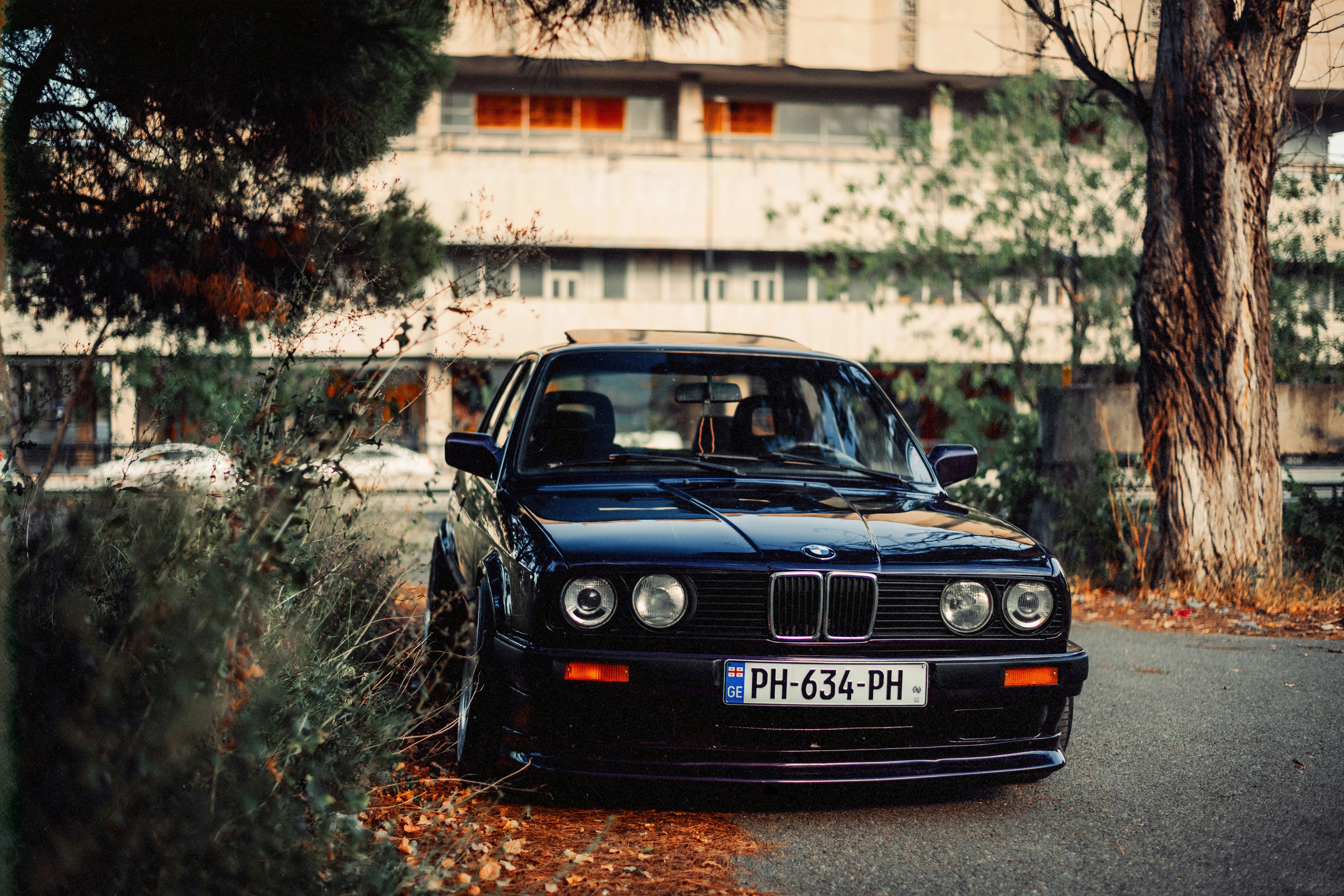 Photo by vagifchannel