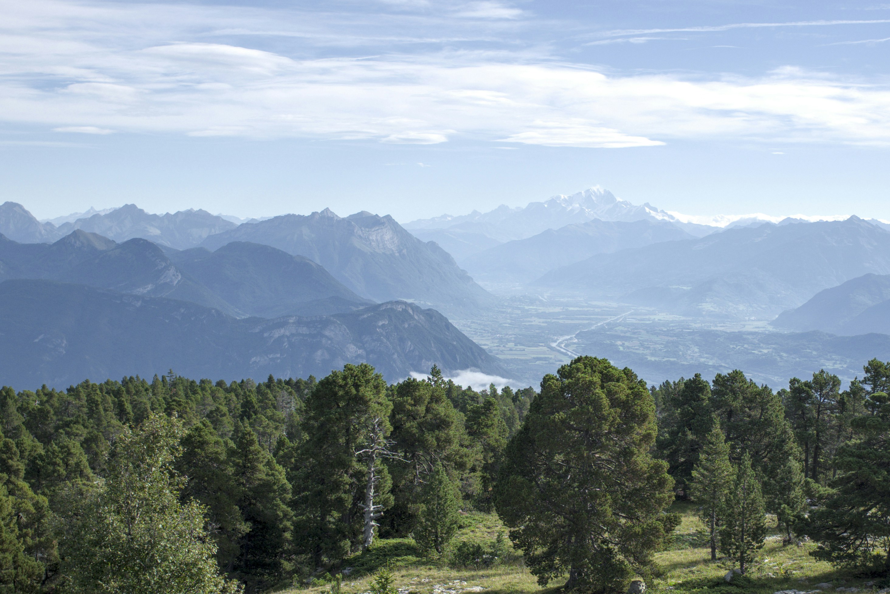 Photo by thomastygreat