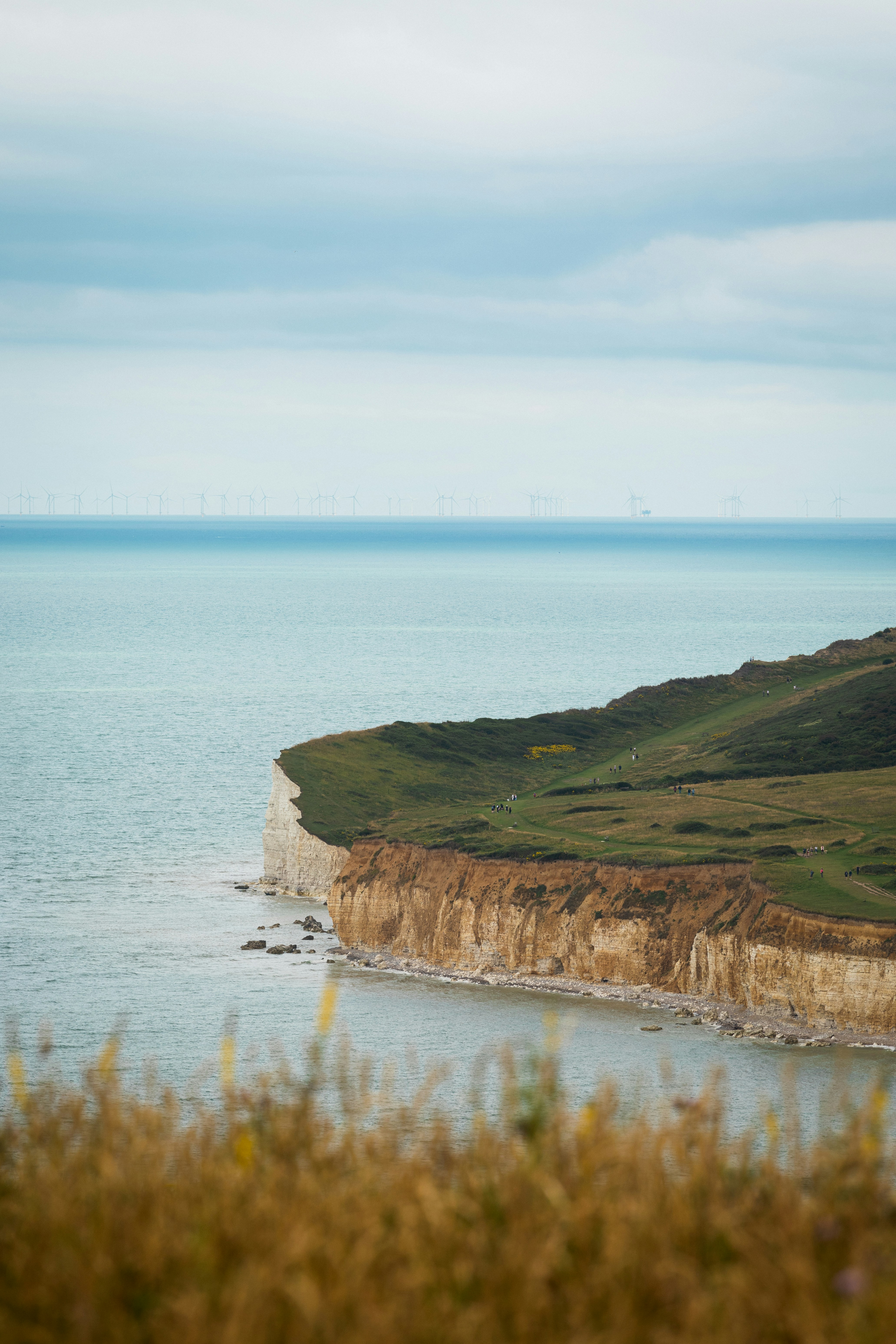 Photo by lauralezman