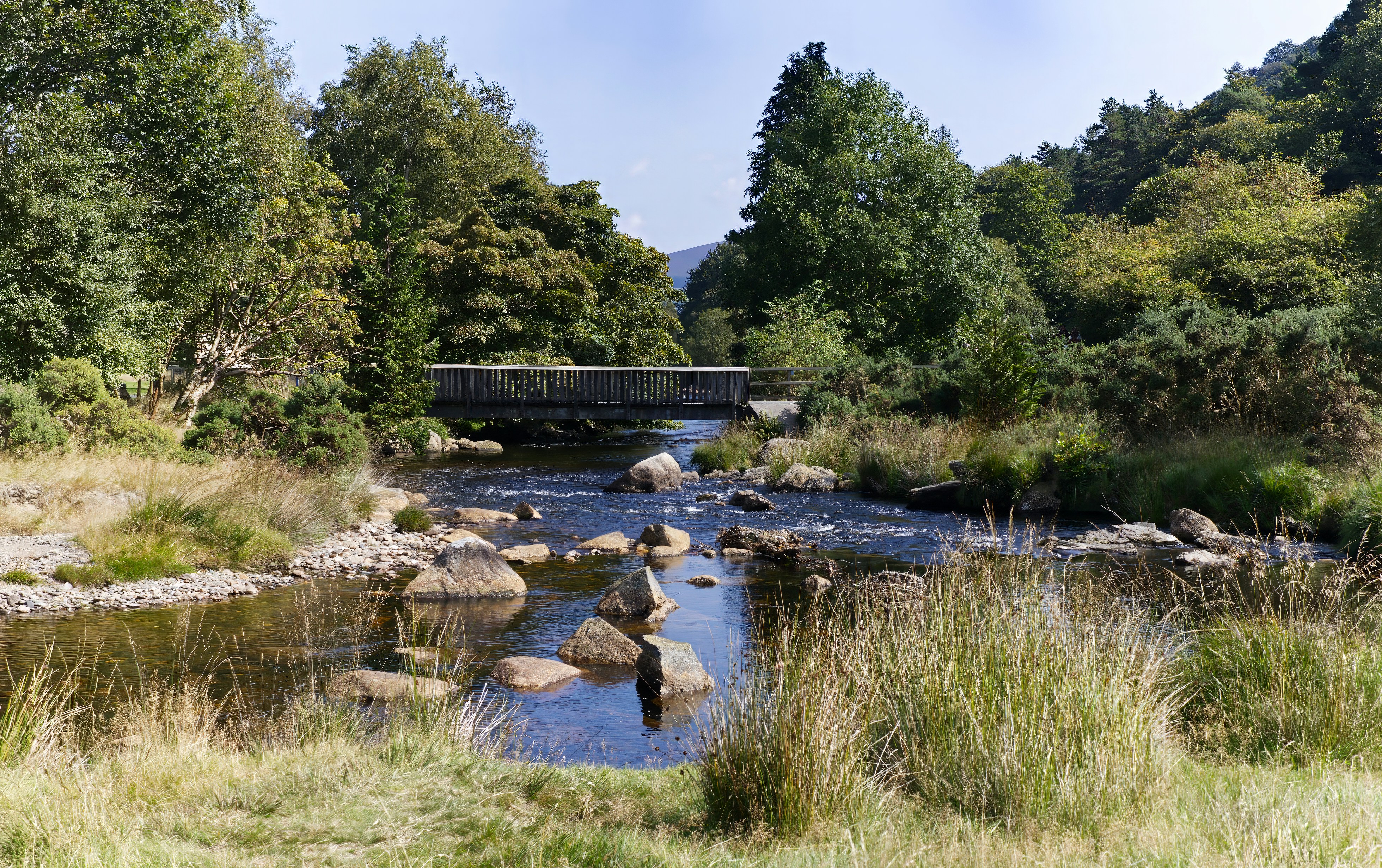 Photo by bullterriere