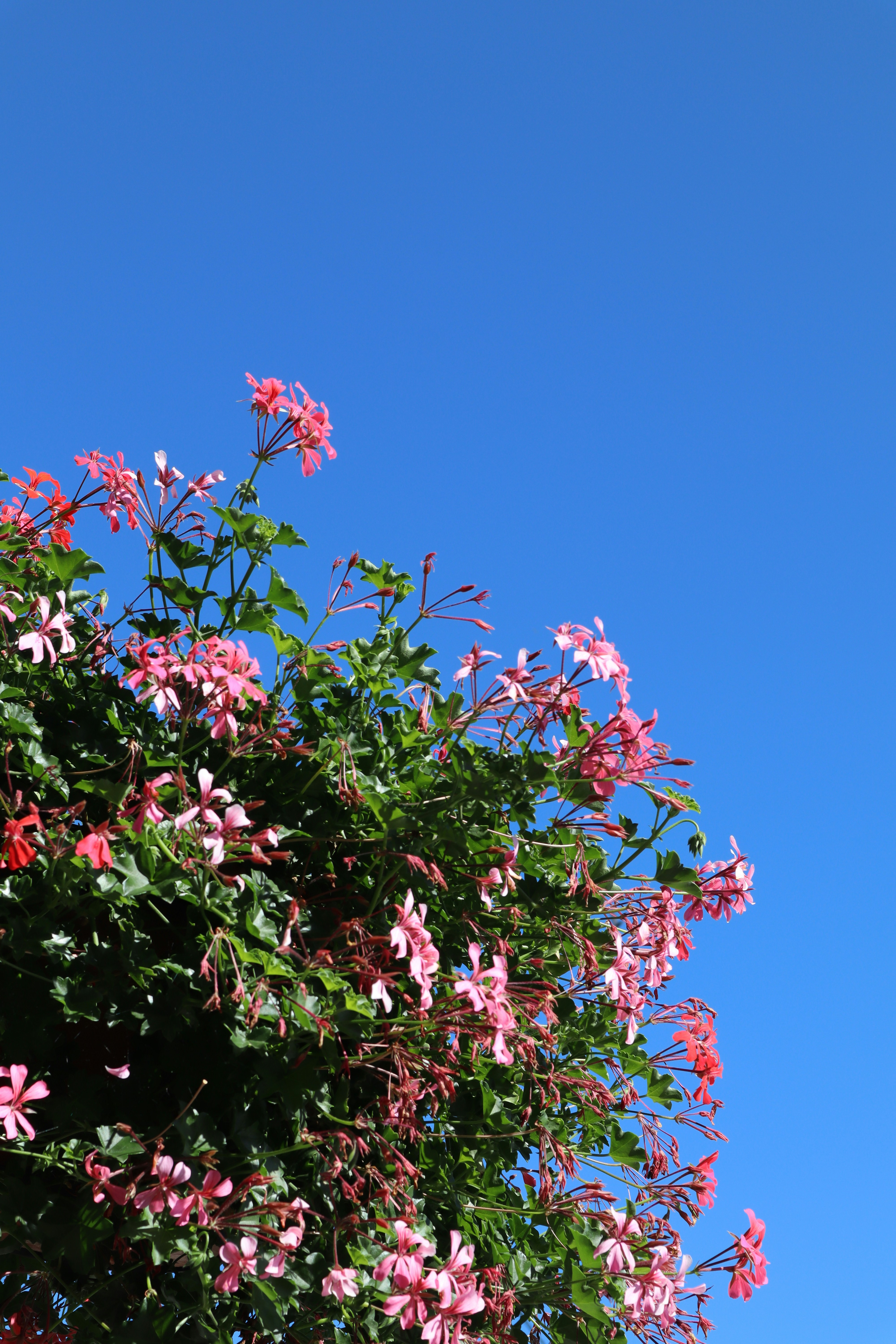 Photo by designwithamission