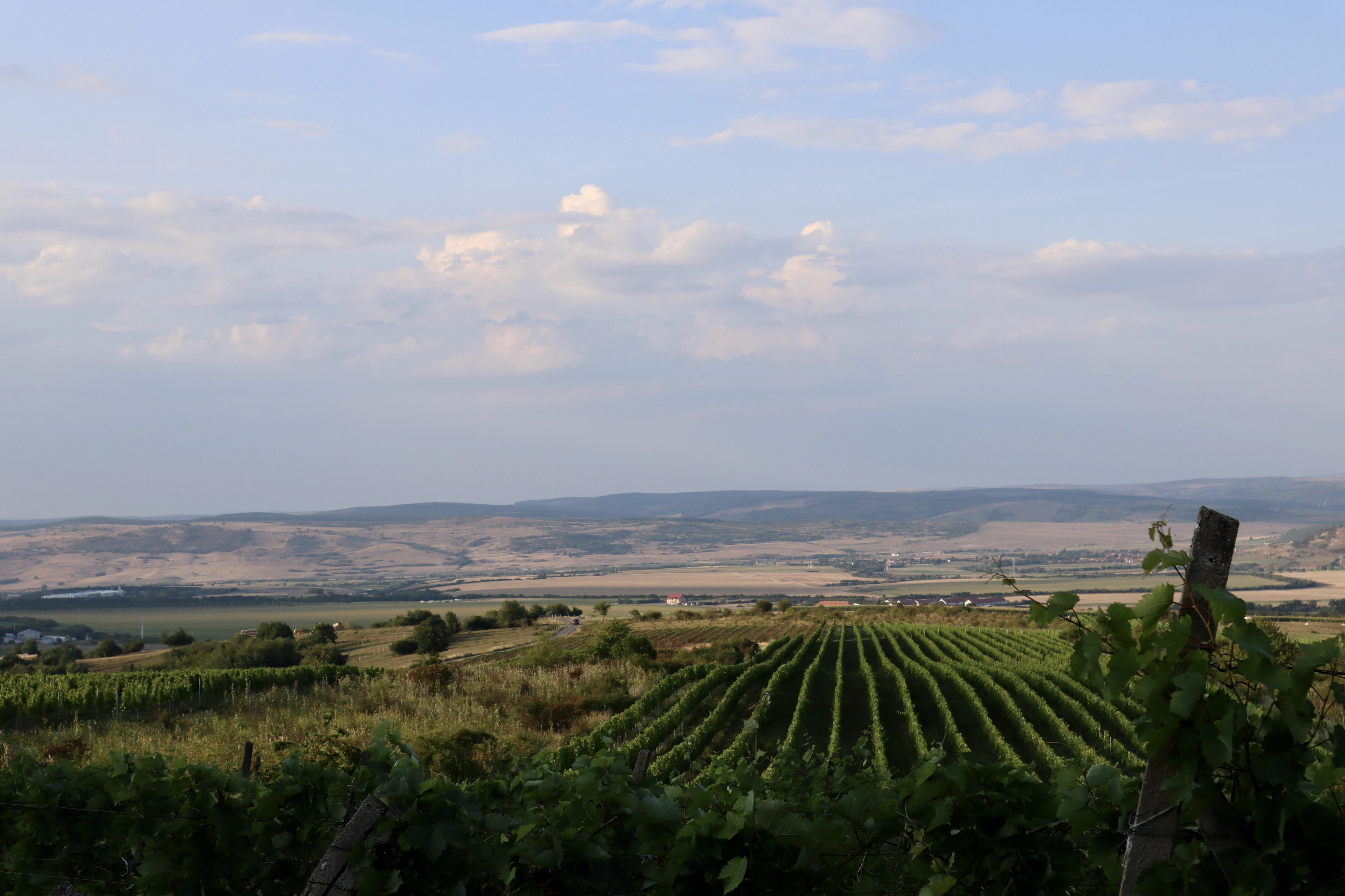 Foto aus Sud-Est