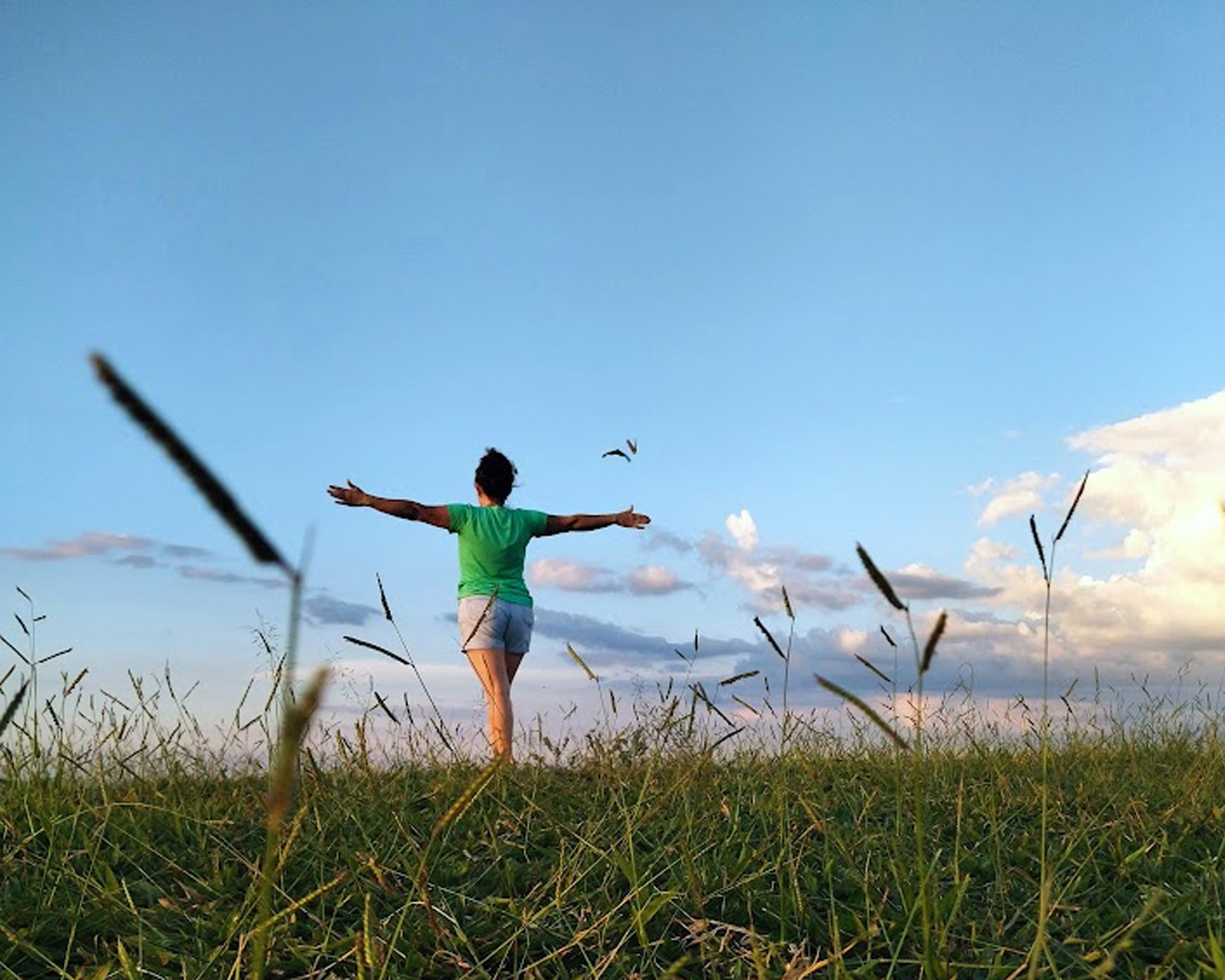 Photo by jhfornazier