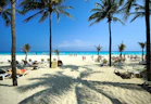A beach filled with lots of palm trees