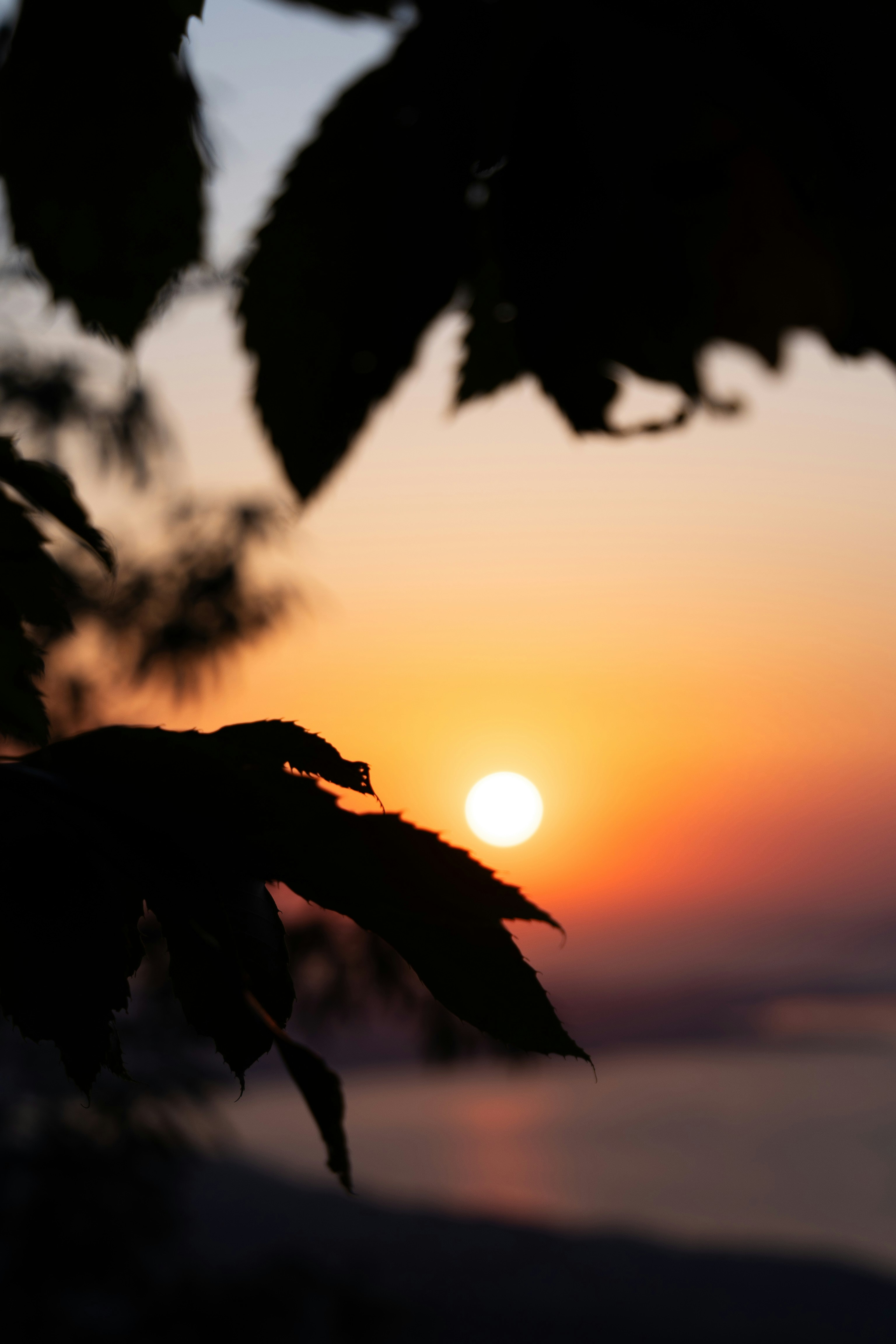 Photo by yunustug