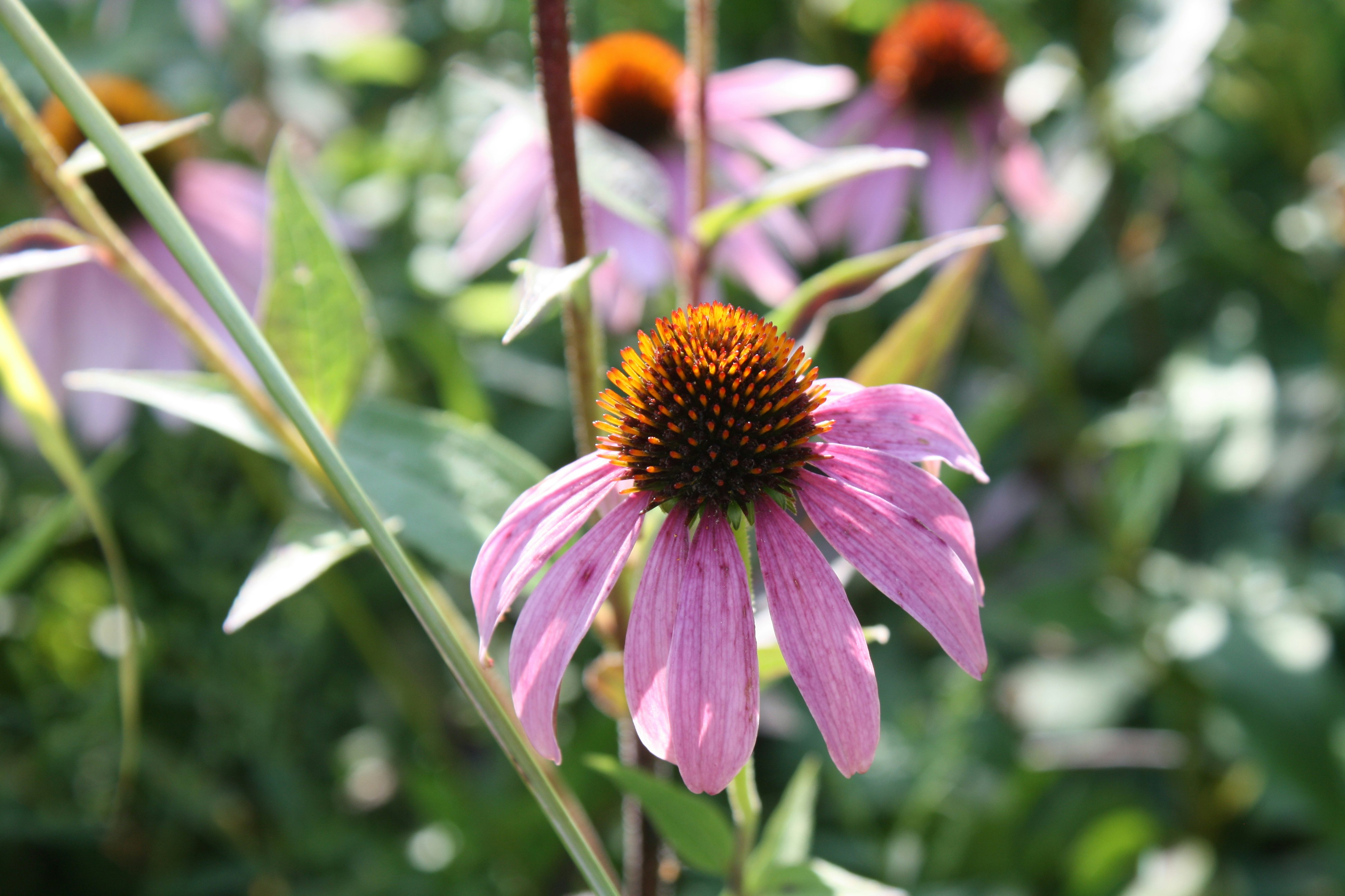 Photo by theartsy_waterlily